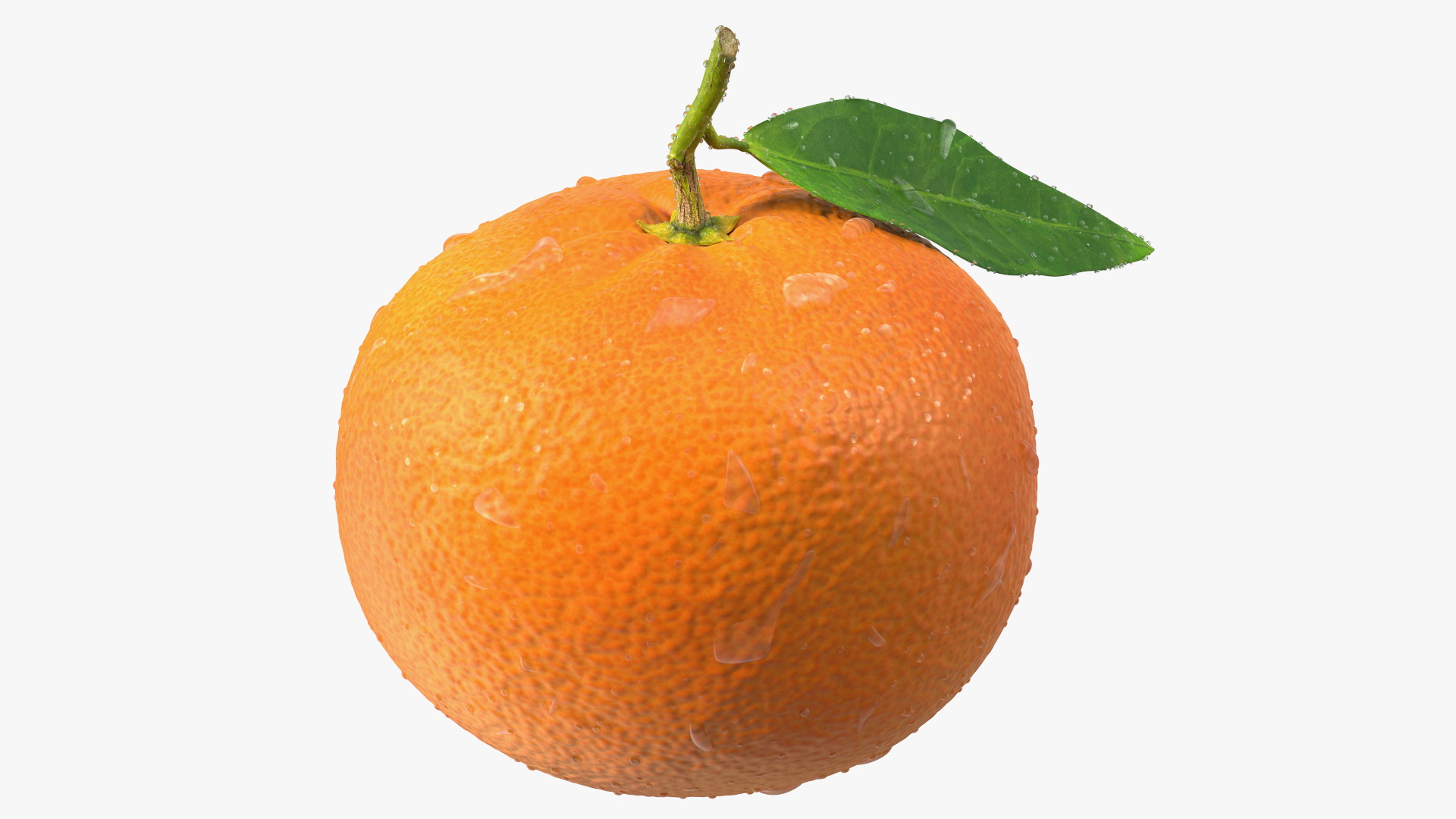 3D model Mandarin with Water Drops