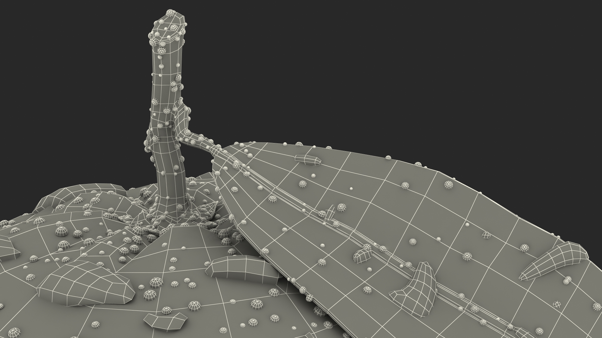 3D model Mandarin with Water Drops