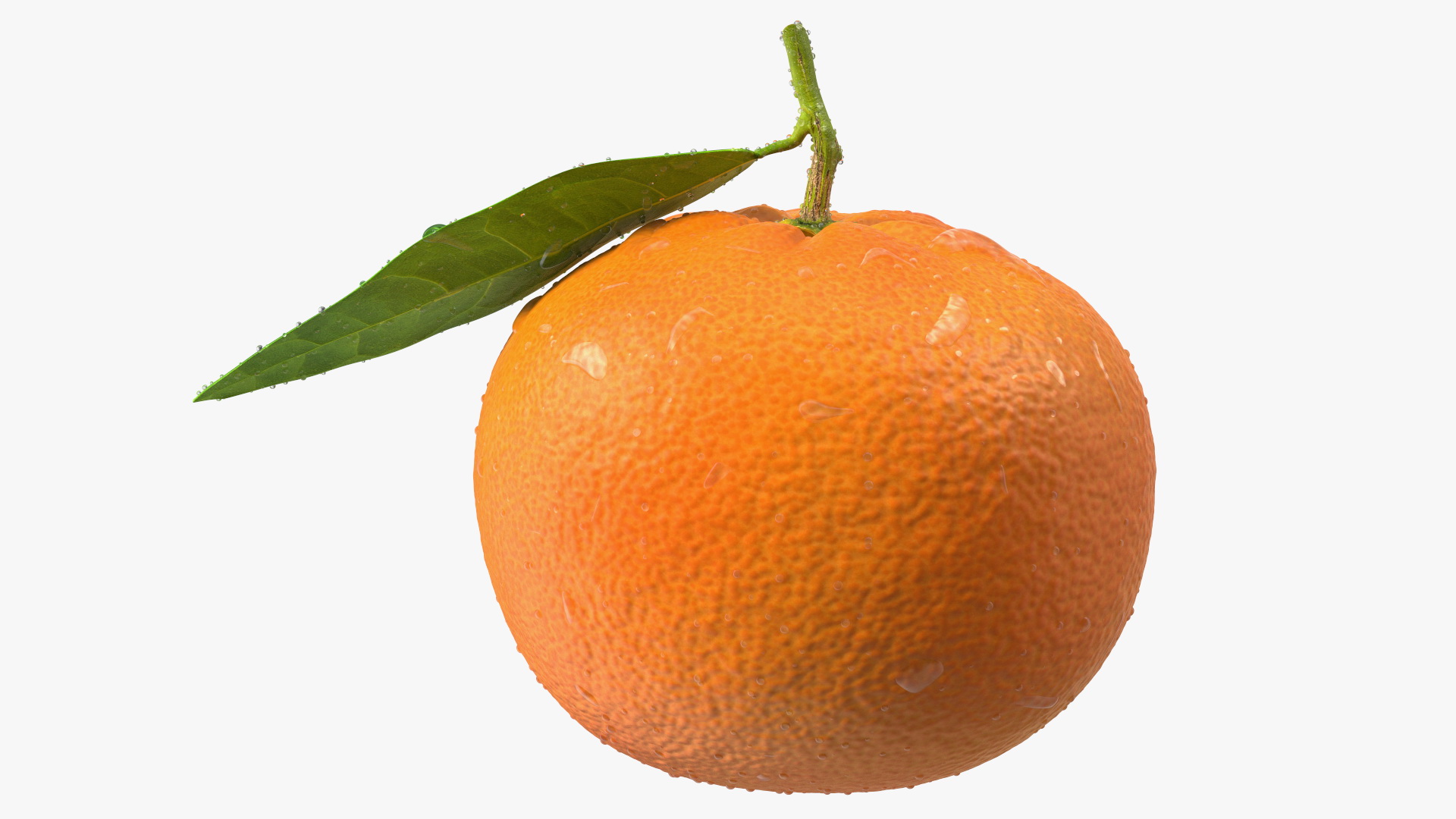 3D model Mandarin with Water Drops