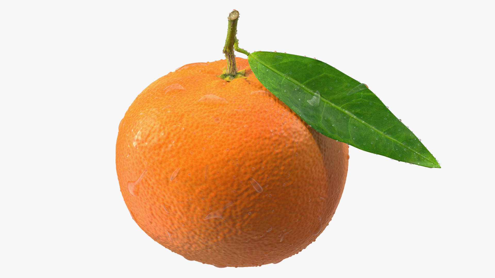 3D model Mandarin with Water Drops