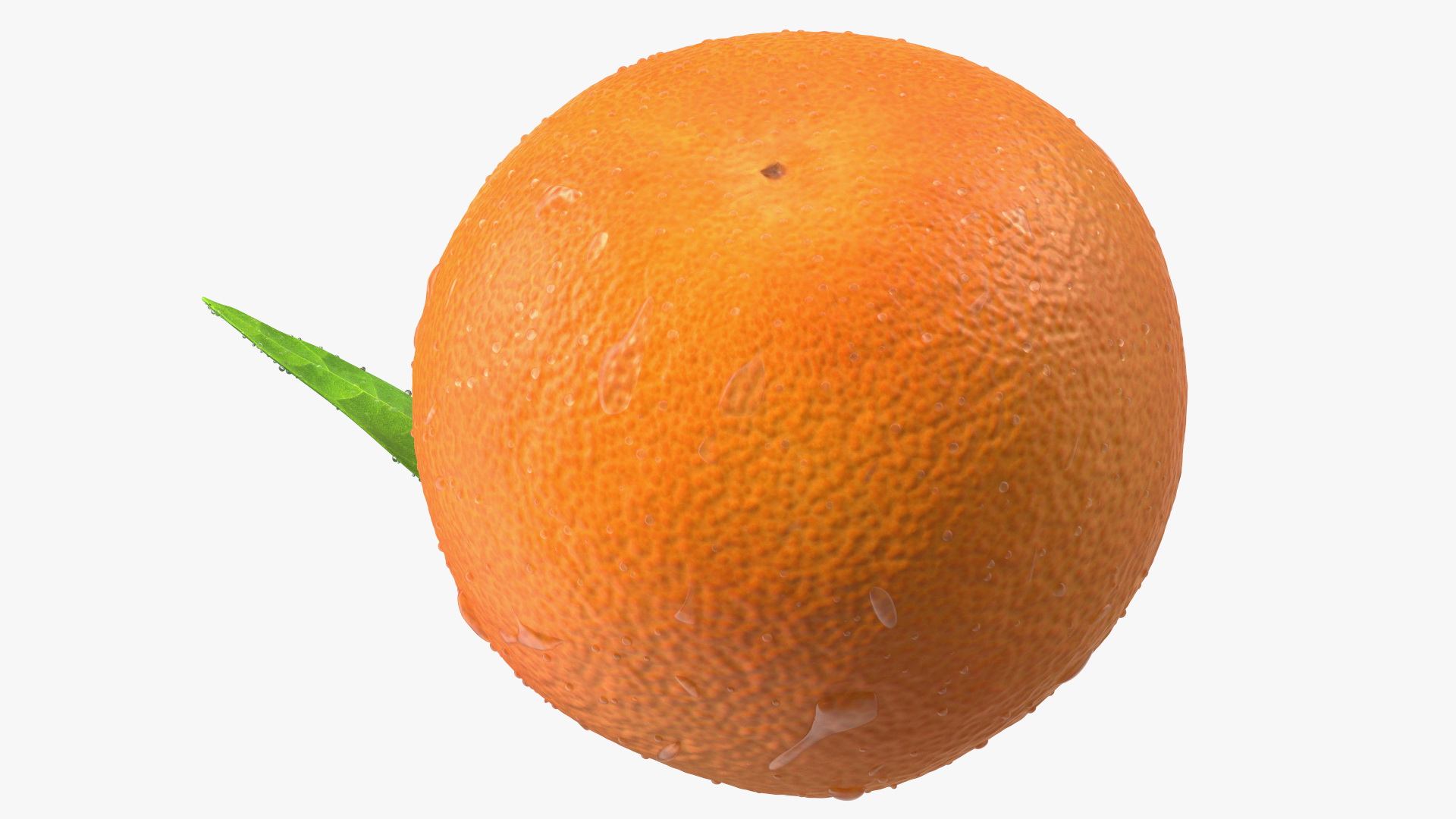 3D model Mandarin with Water Drops