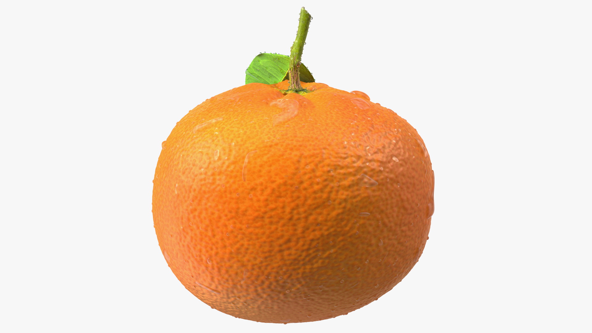 3D model Mandarin with Water Drops