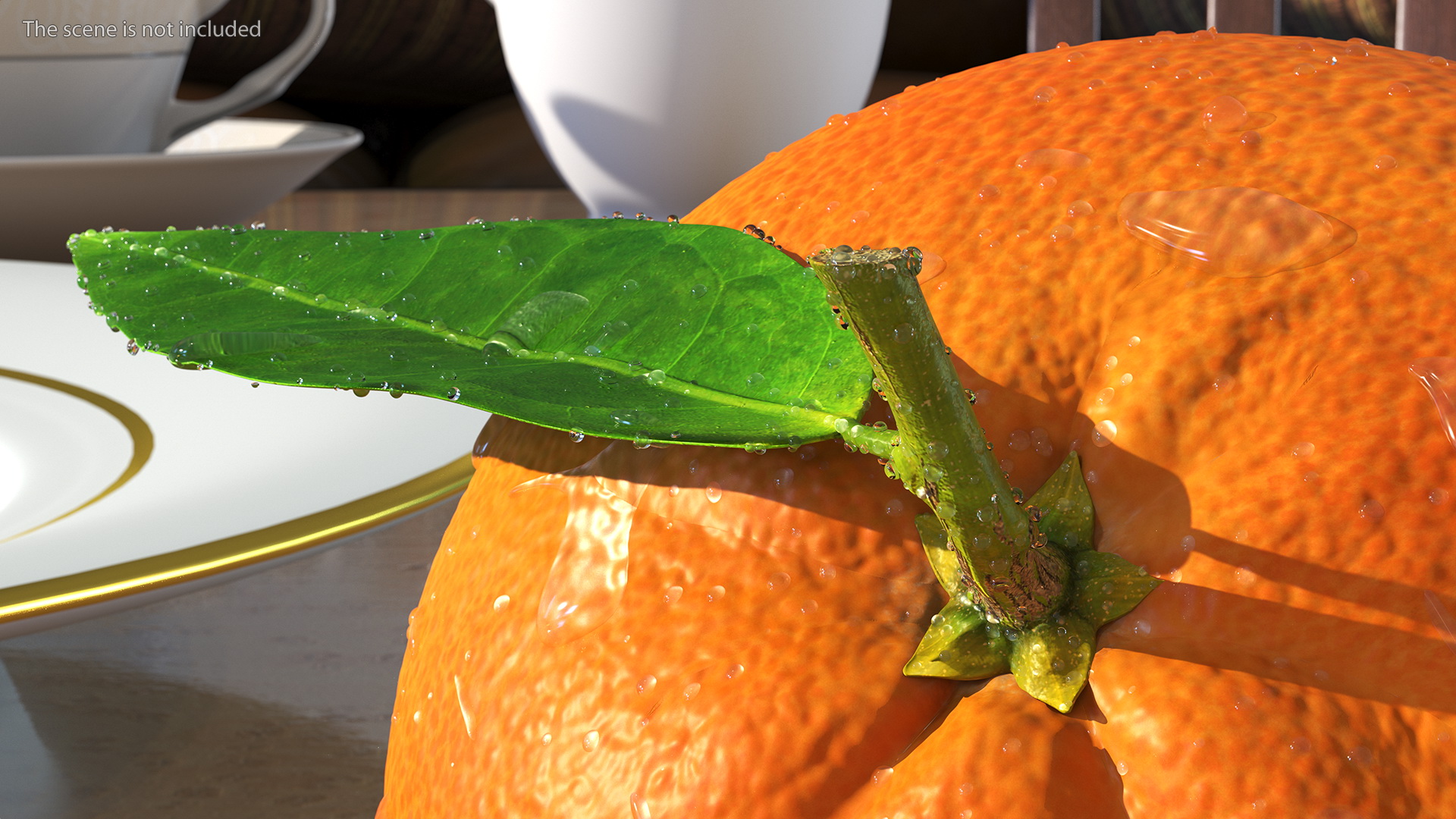 3D model Mandarin with Water Drops