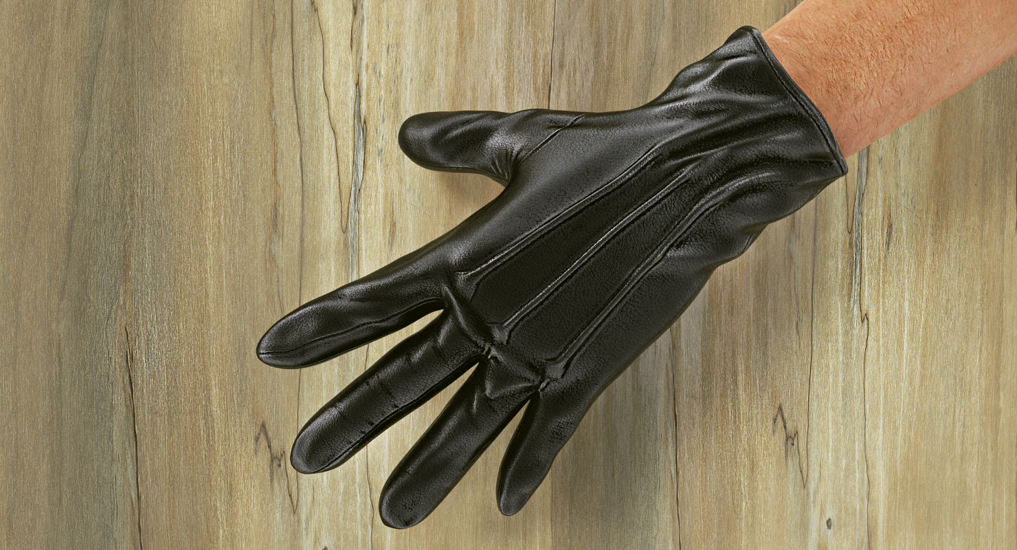 Leather Gloves, view 5