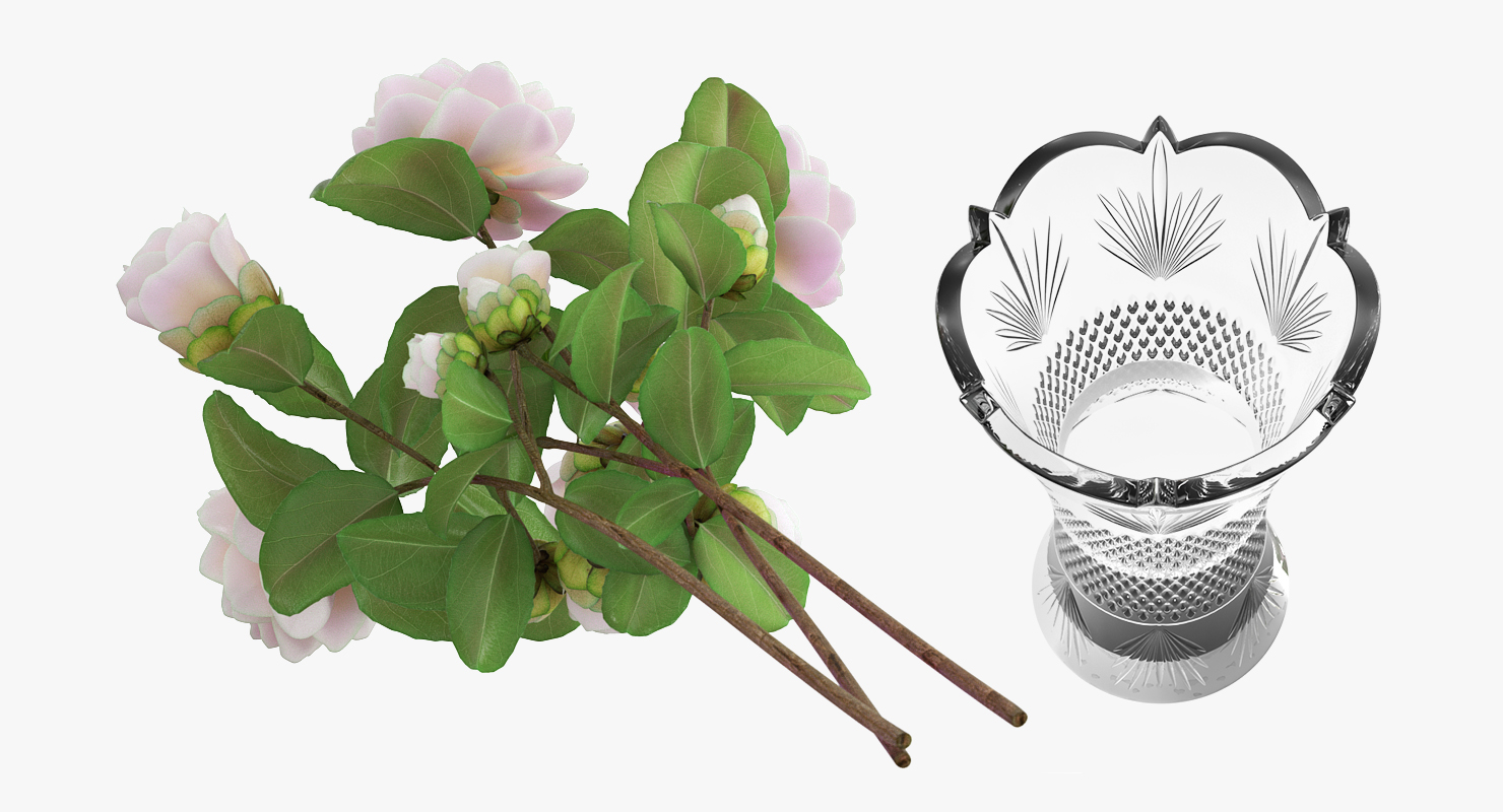 3D model White Camellia Bouquet in Vase