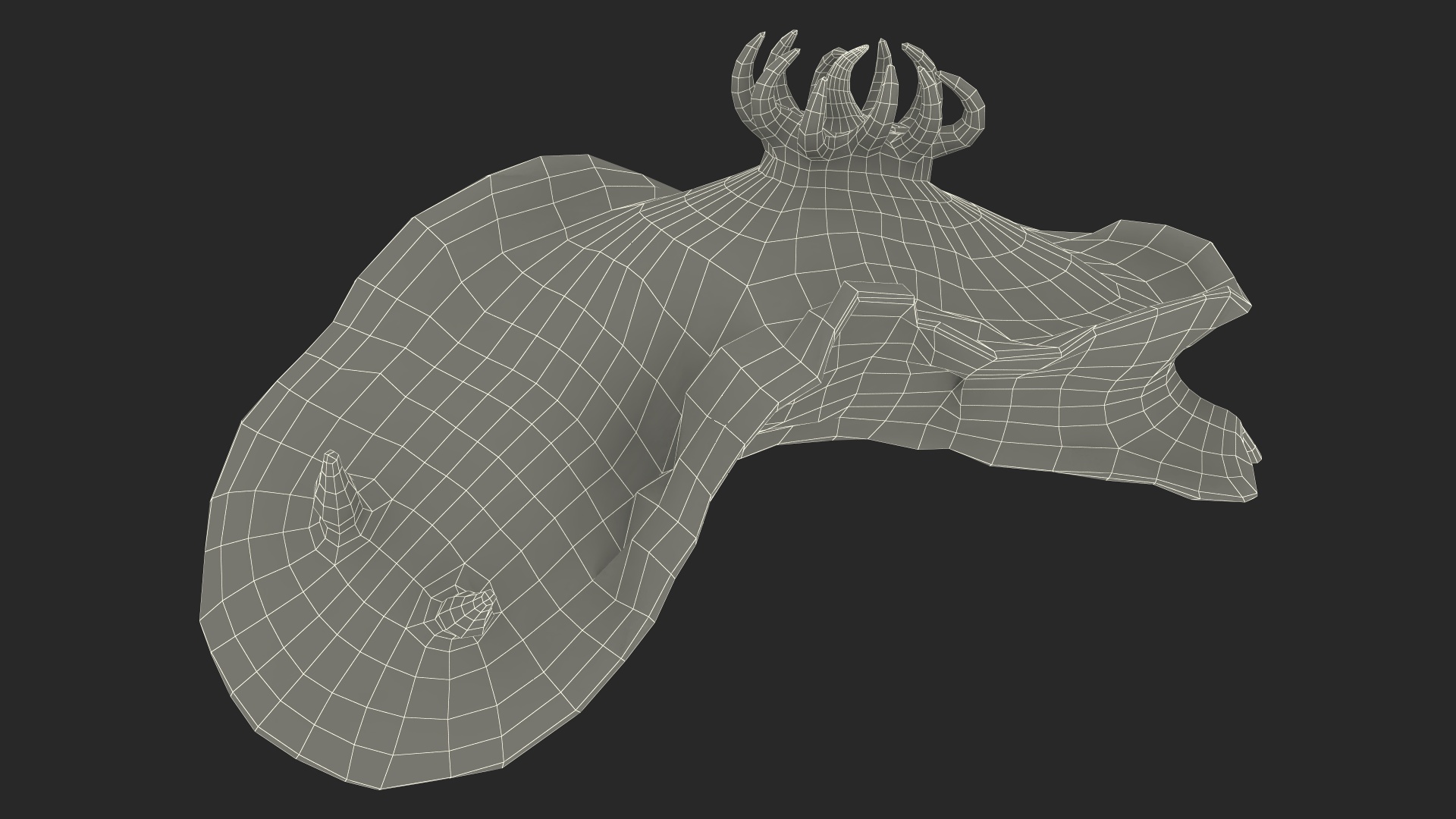 3D Kubaryana Sea Slug model