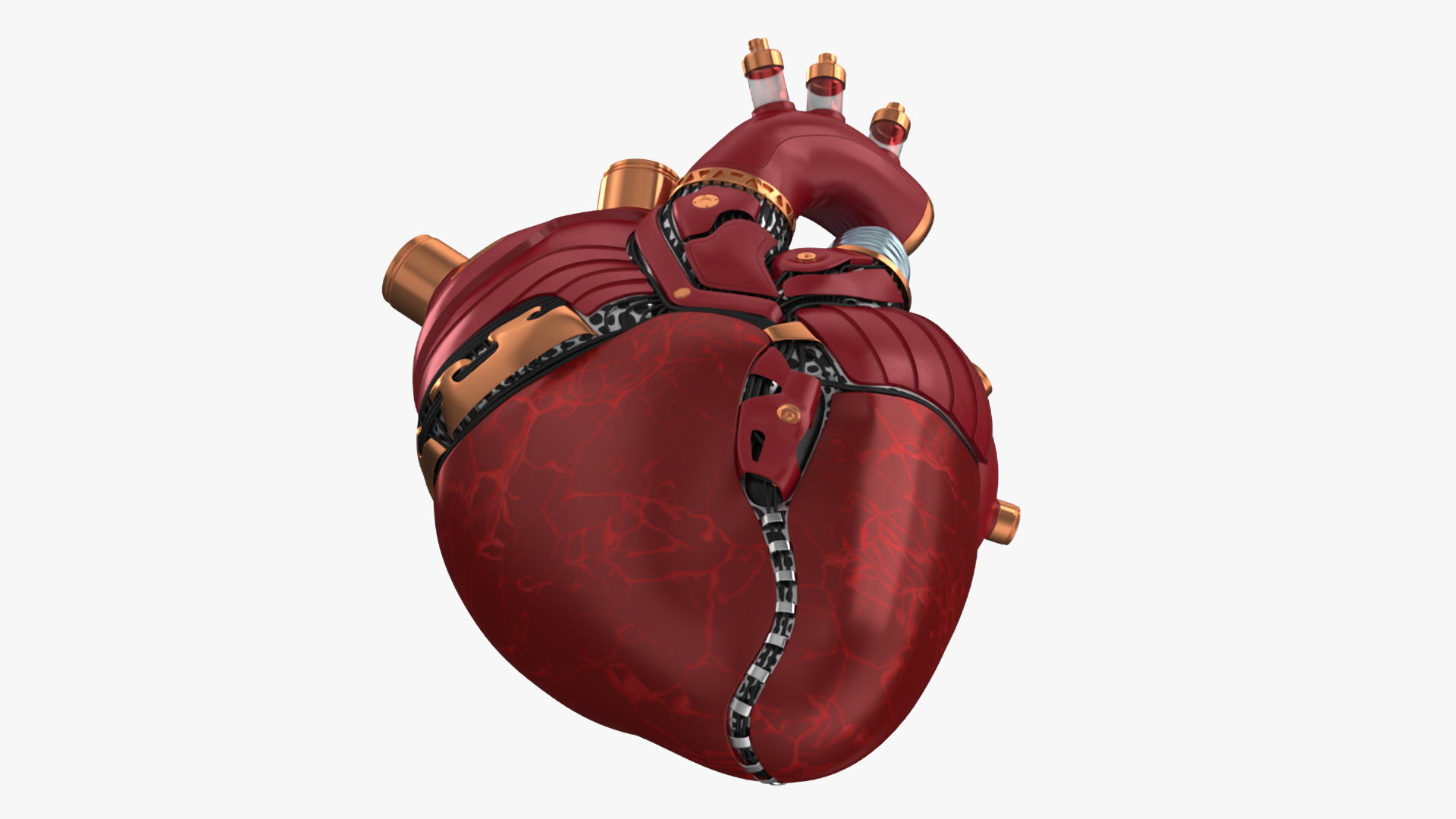 3D Bionic Robot Heart model