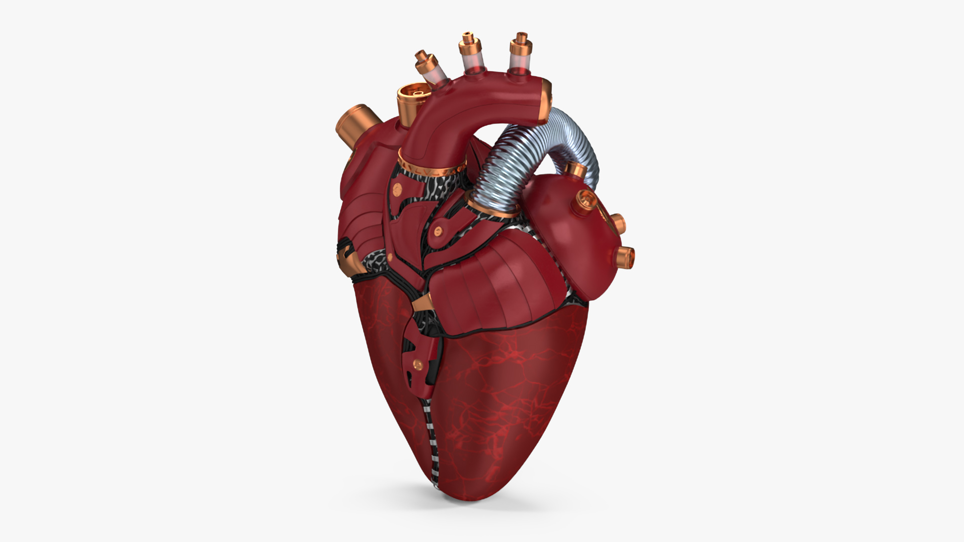 3D Bionic Robot Heart model