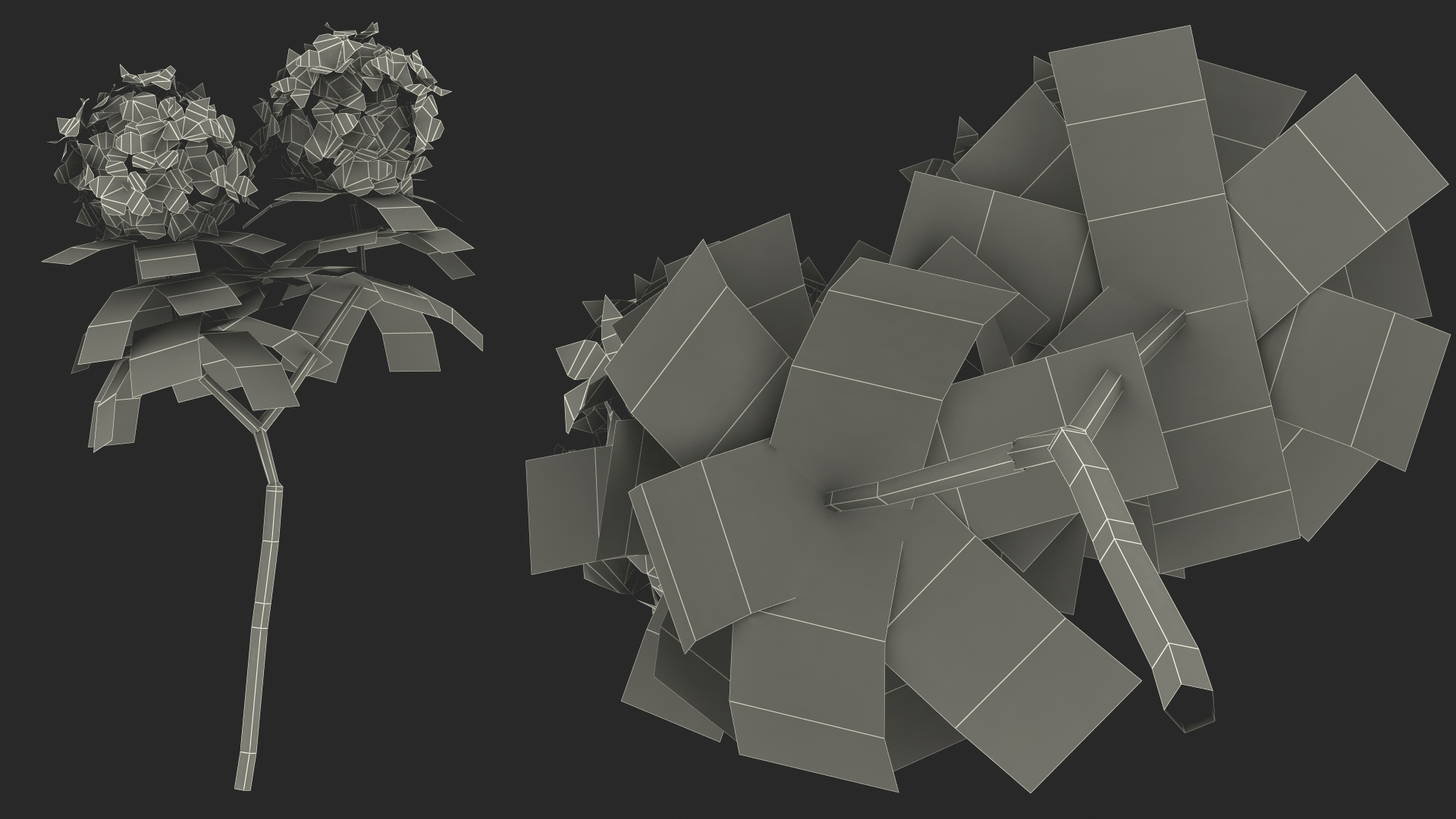 3D Red Rhododendron Flower model