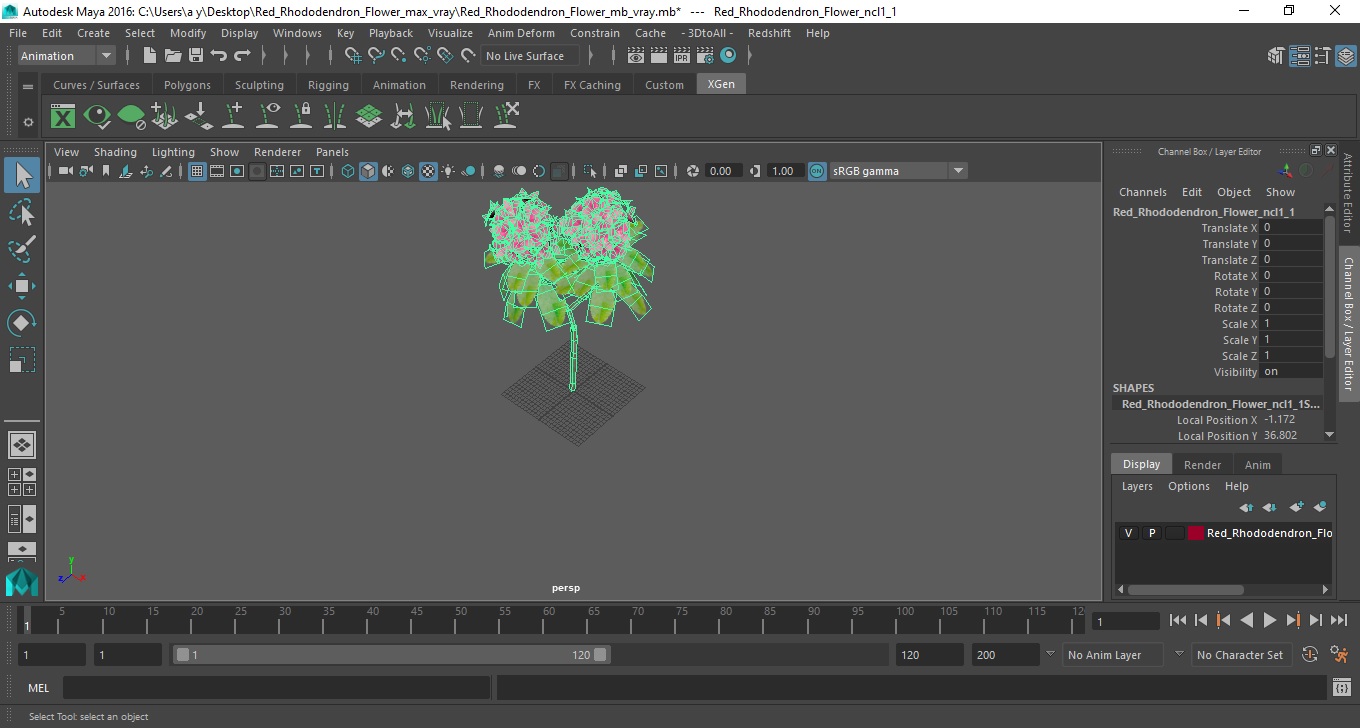3D Red Rhododendron Flower model