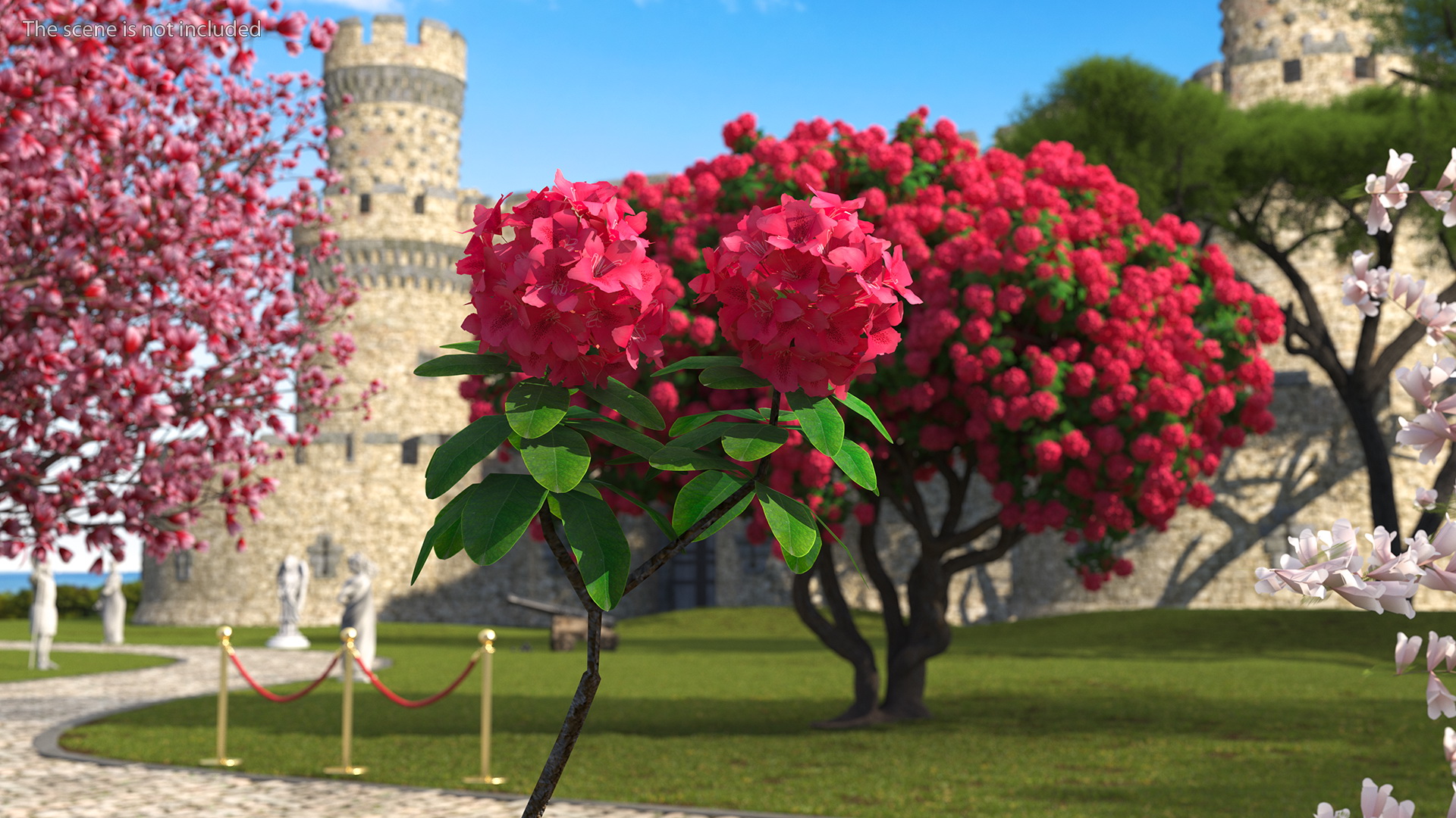 3D Red Rhododendron Flower model