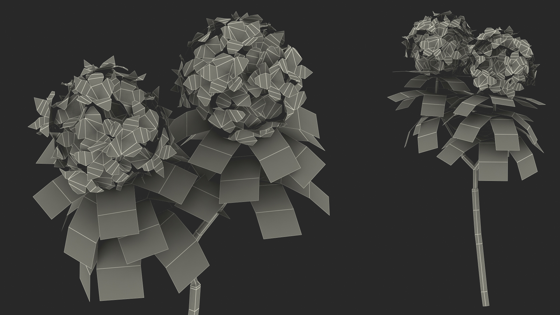 3D Red Rhododendron Flower model