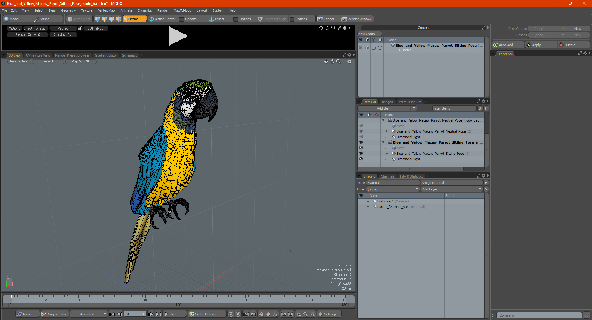 3D Blue and Yellow Macaw Parrot Sitting Pose