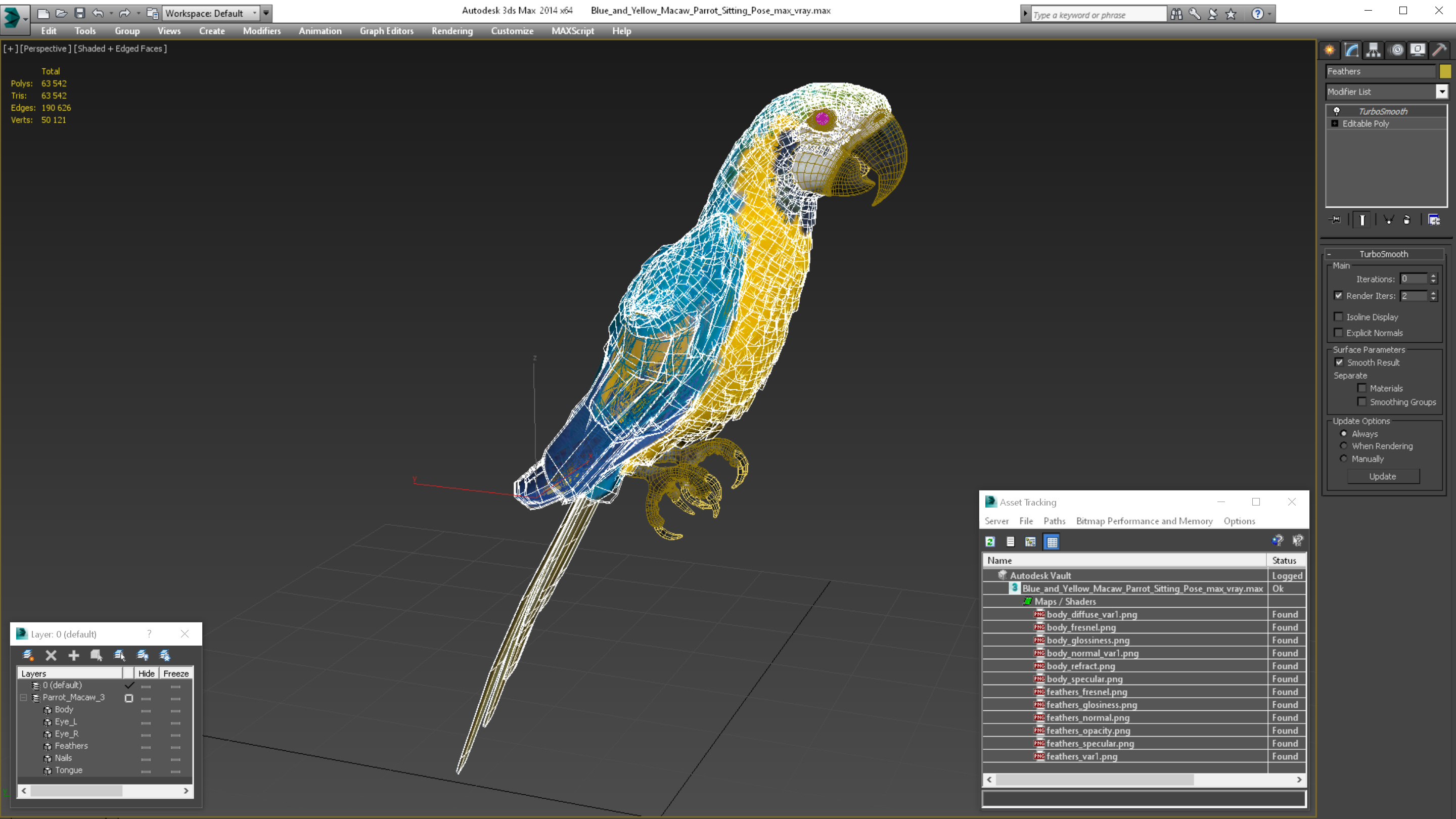 3D Blue and Yellow Macaw Parrot Sitting Pose