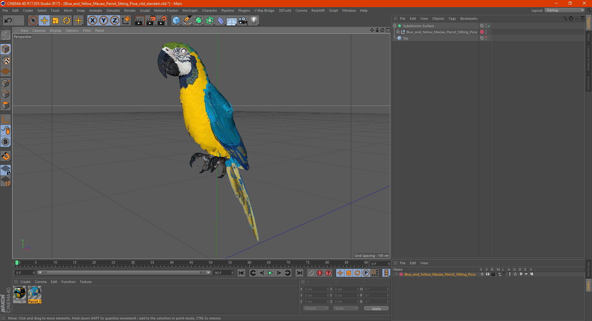 3D Blue and Yellow Macaw Parrot Sitting Pose