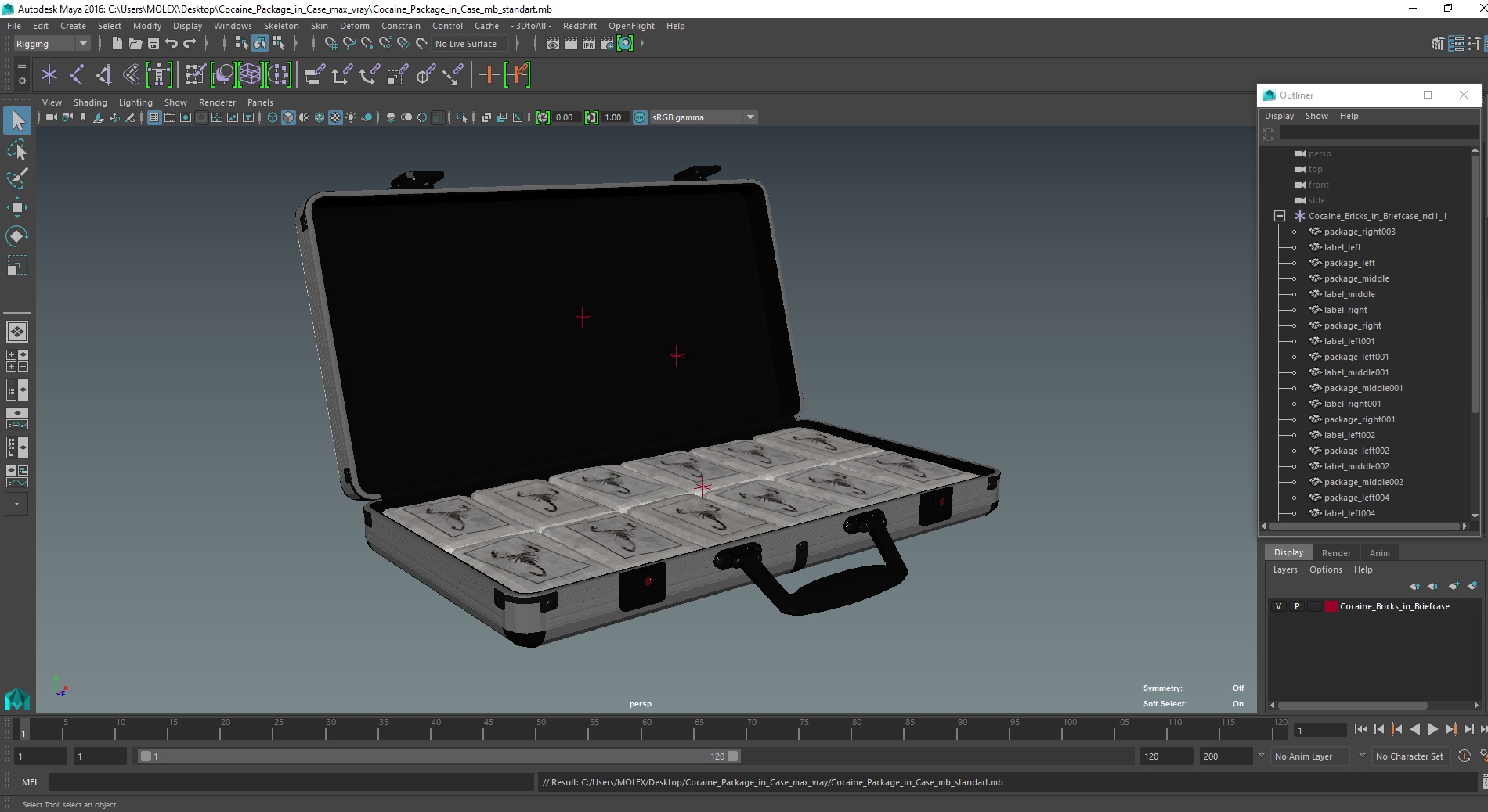 3D Cocaine Package in Case model