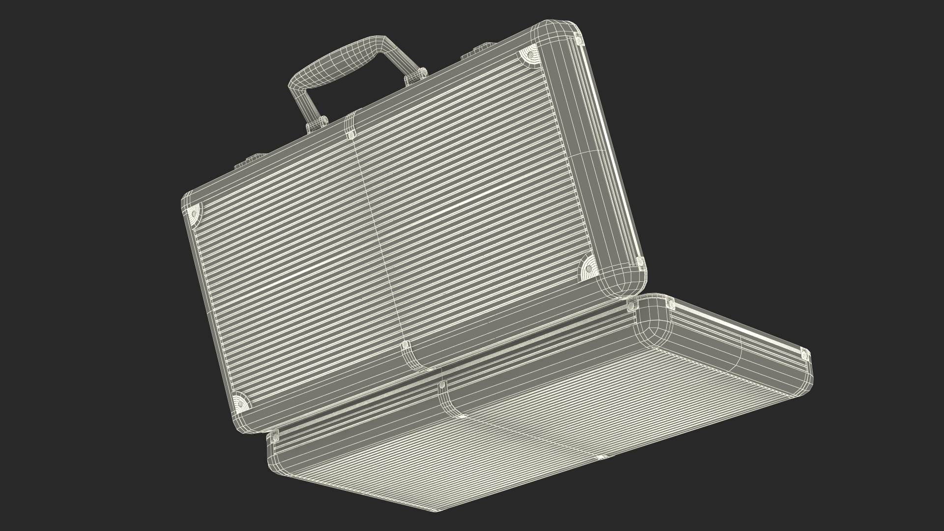 3D Cocaine Package in Case model