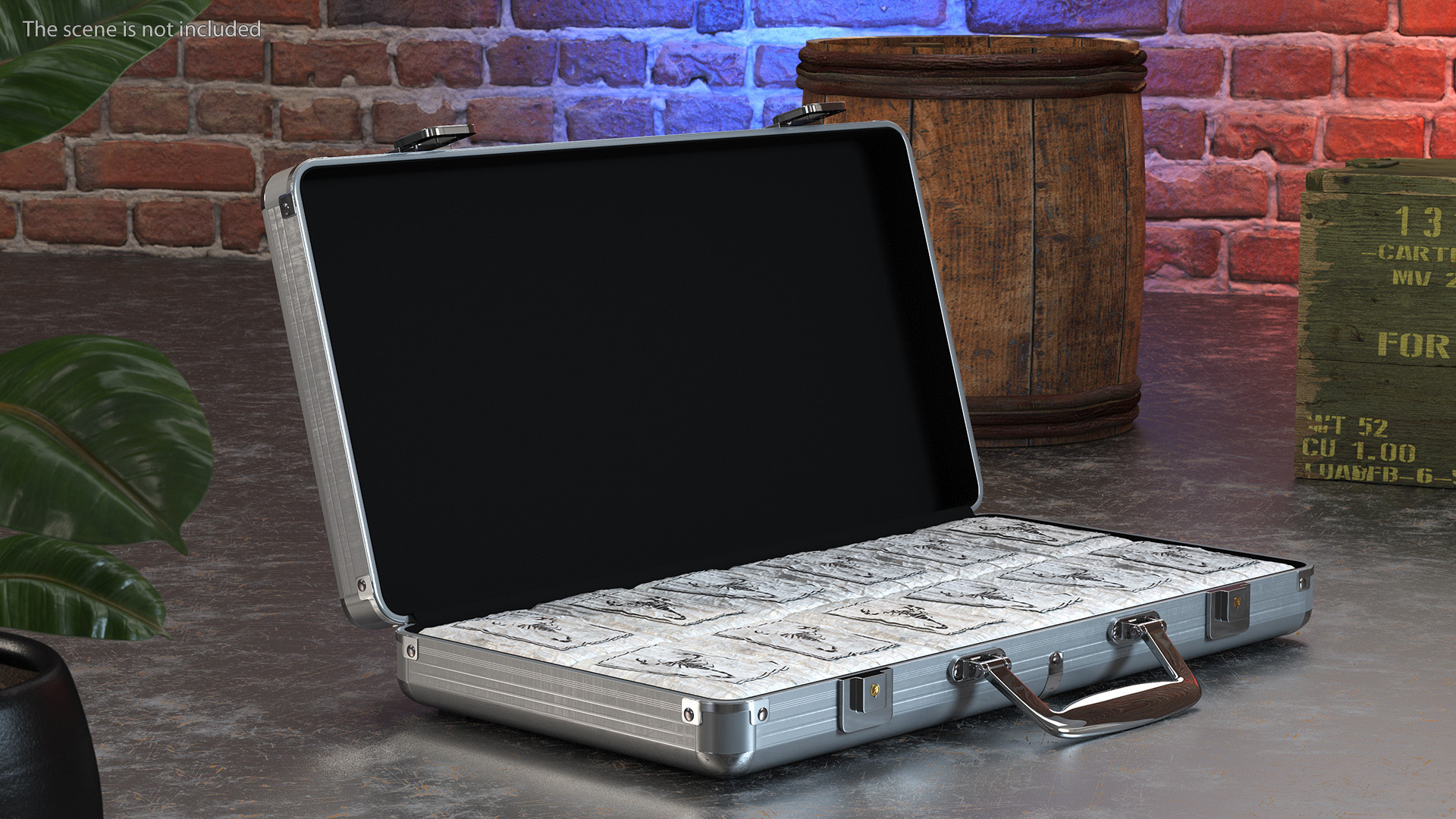 3D Cocaine Package in Case model
