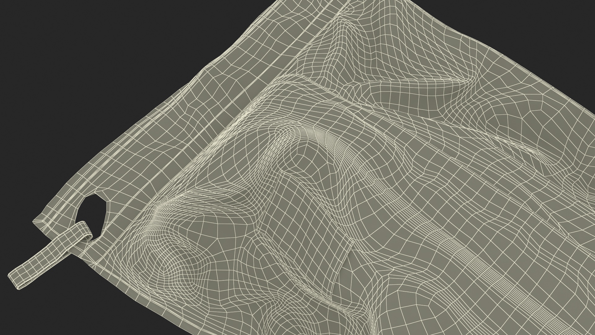 3D Dead Body Bag model