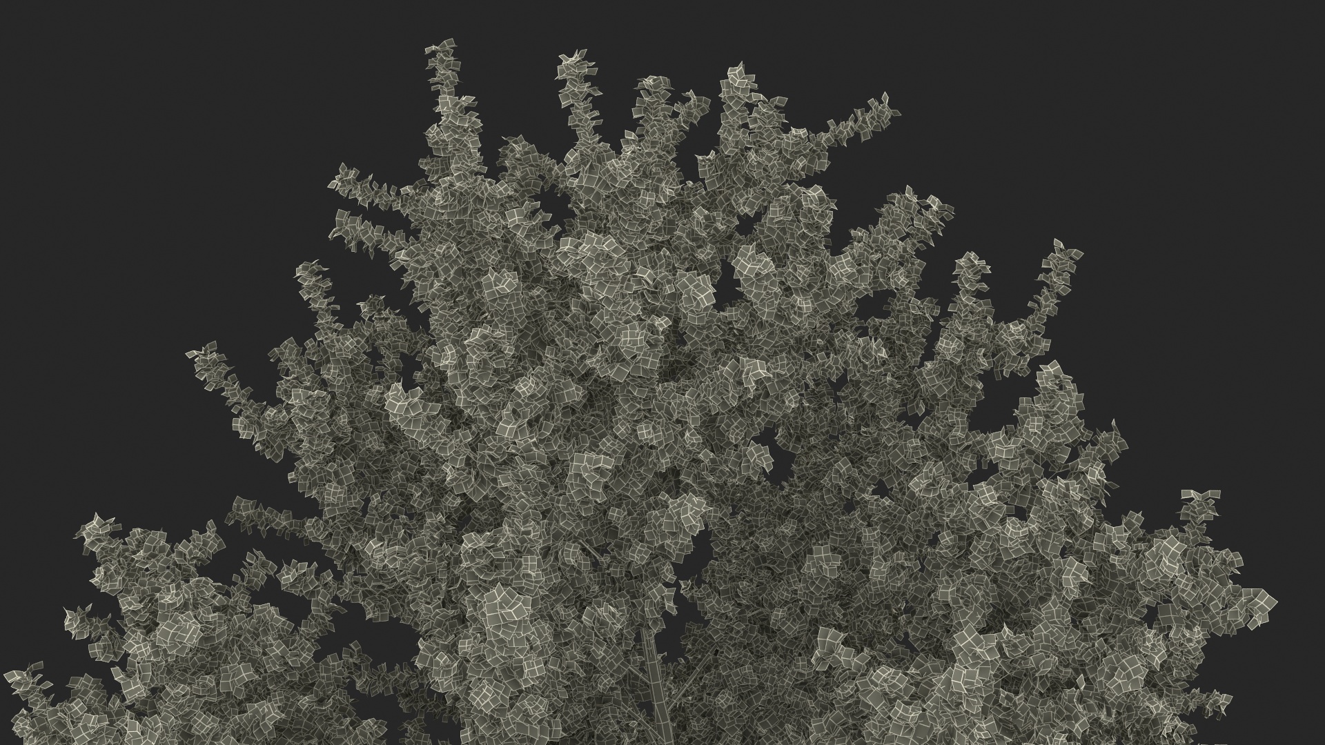 3D Realistic Poplar Tree