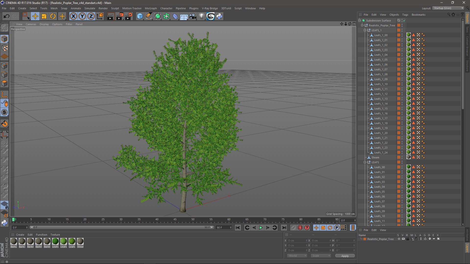 3D Realistic Poplar Tree