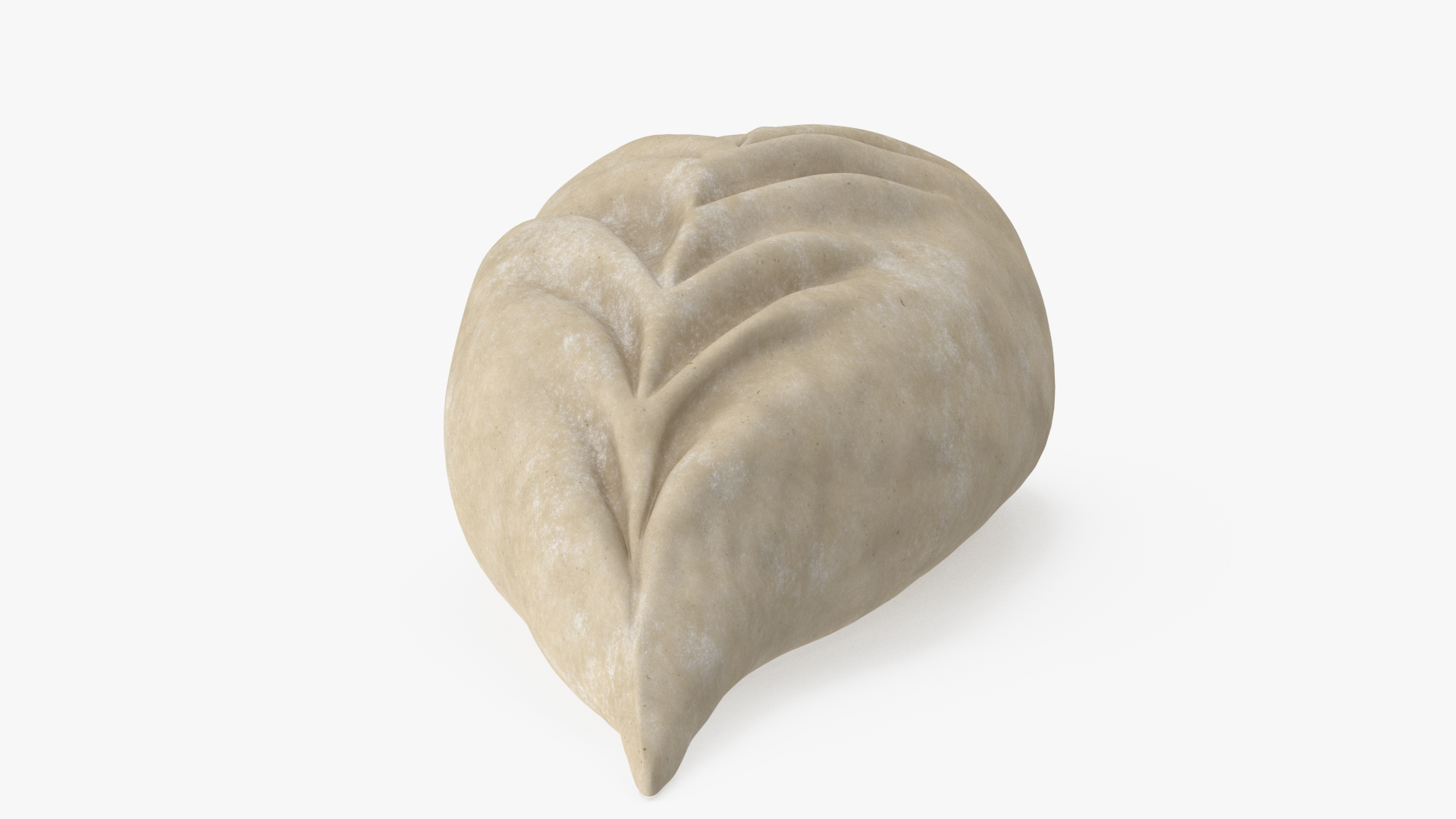 Leaf Shaped Dumpling Raw 3D model