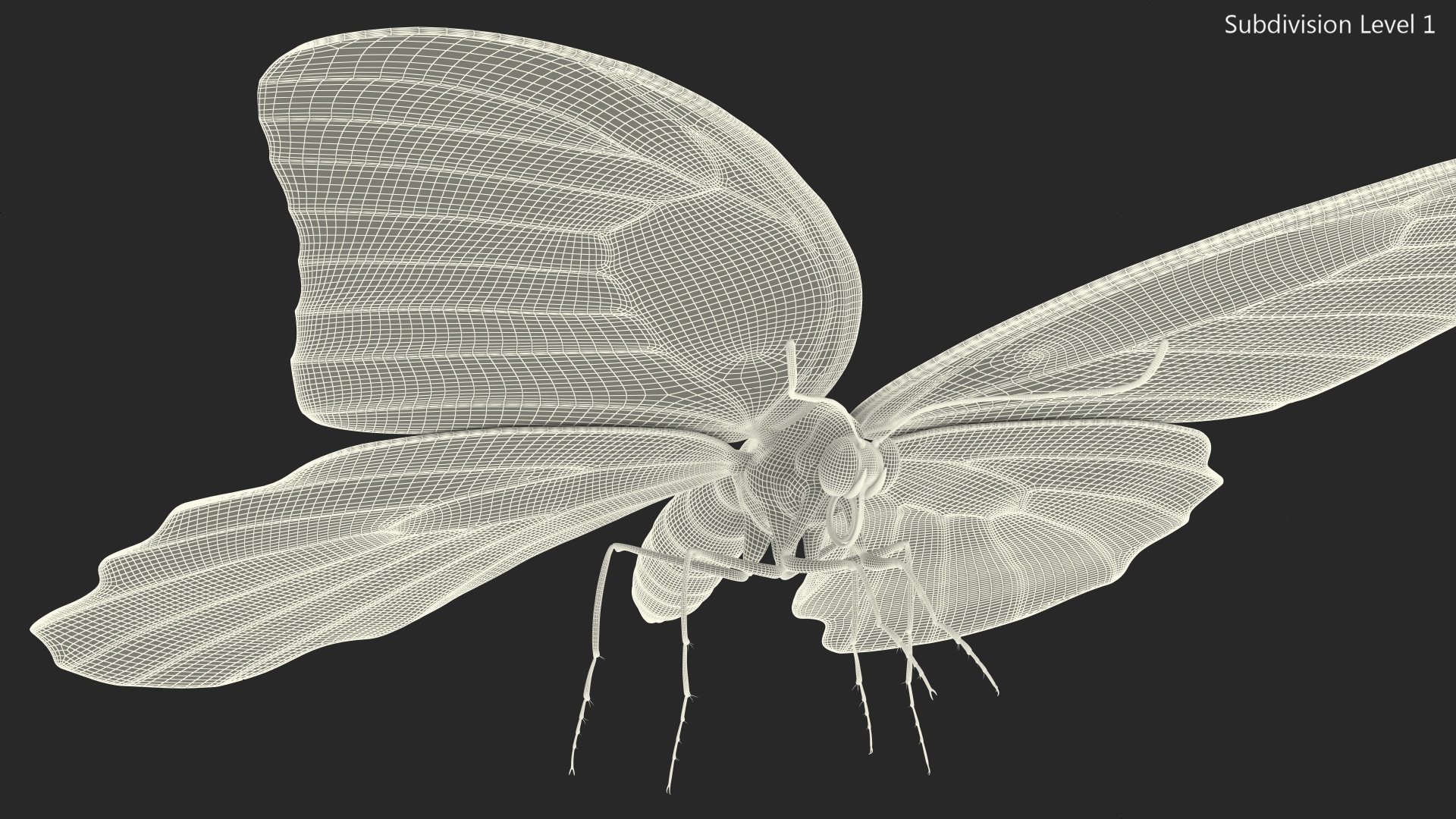 3D model Papilio Protenor Butterfly Male Fur