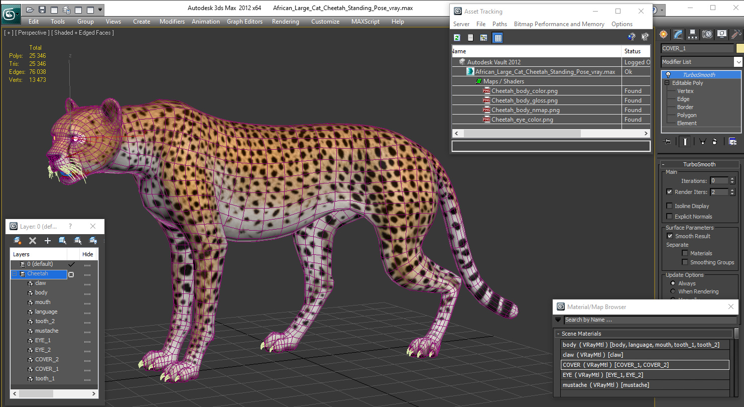African Large Cat Cheetah Standing Pose 3D model