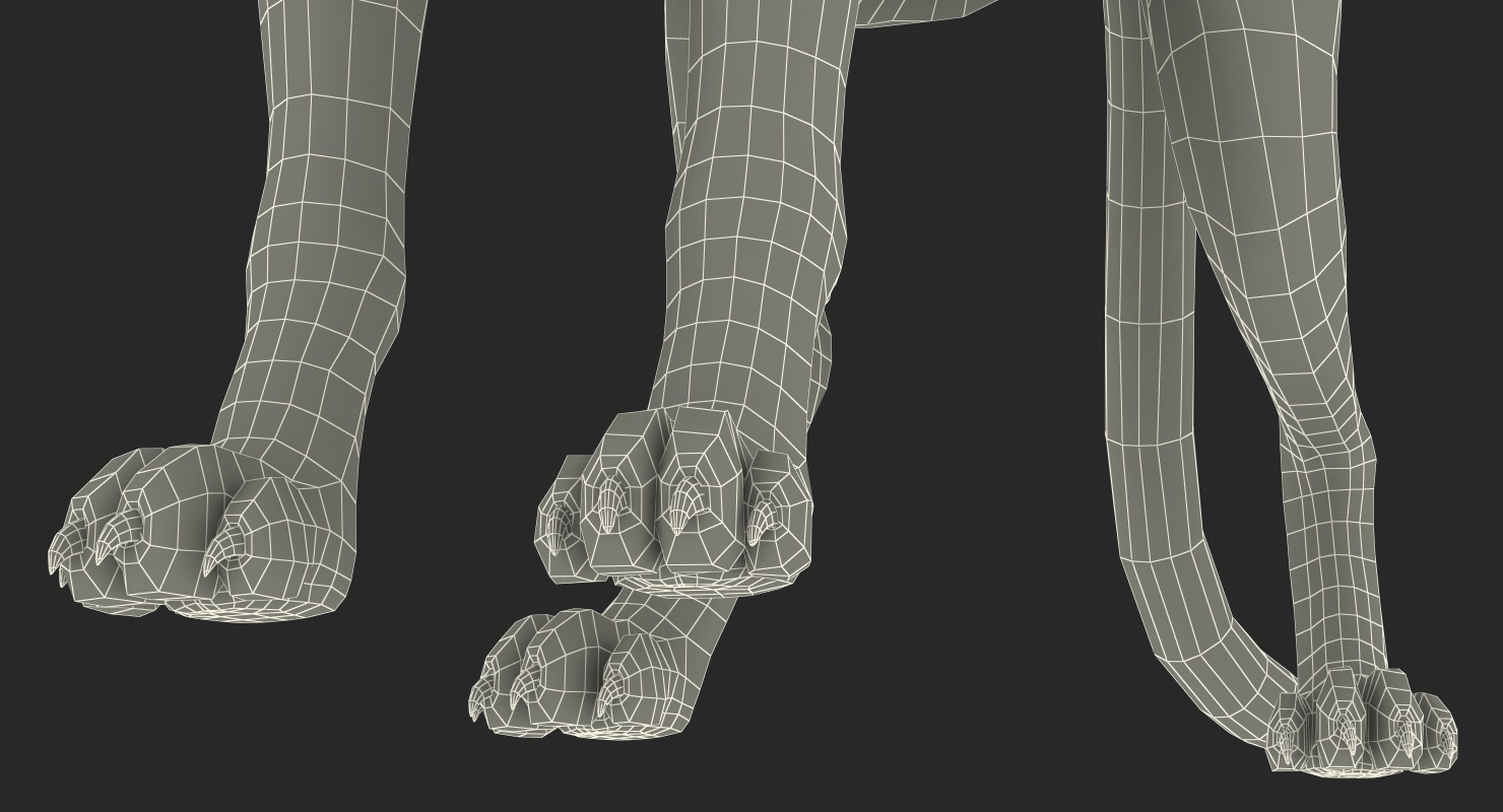 African Large Cat Cheetah Standing Pose 3D model