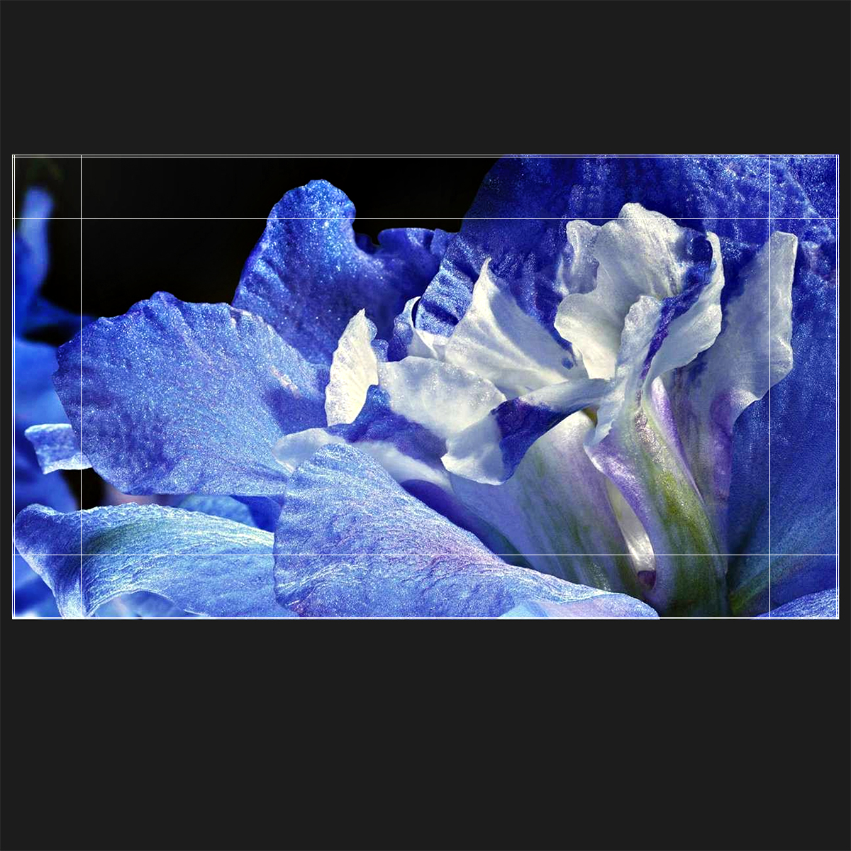 3D 55 OLED TV Generic On
