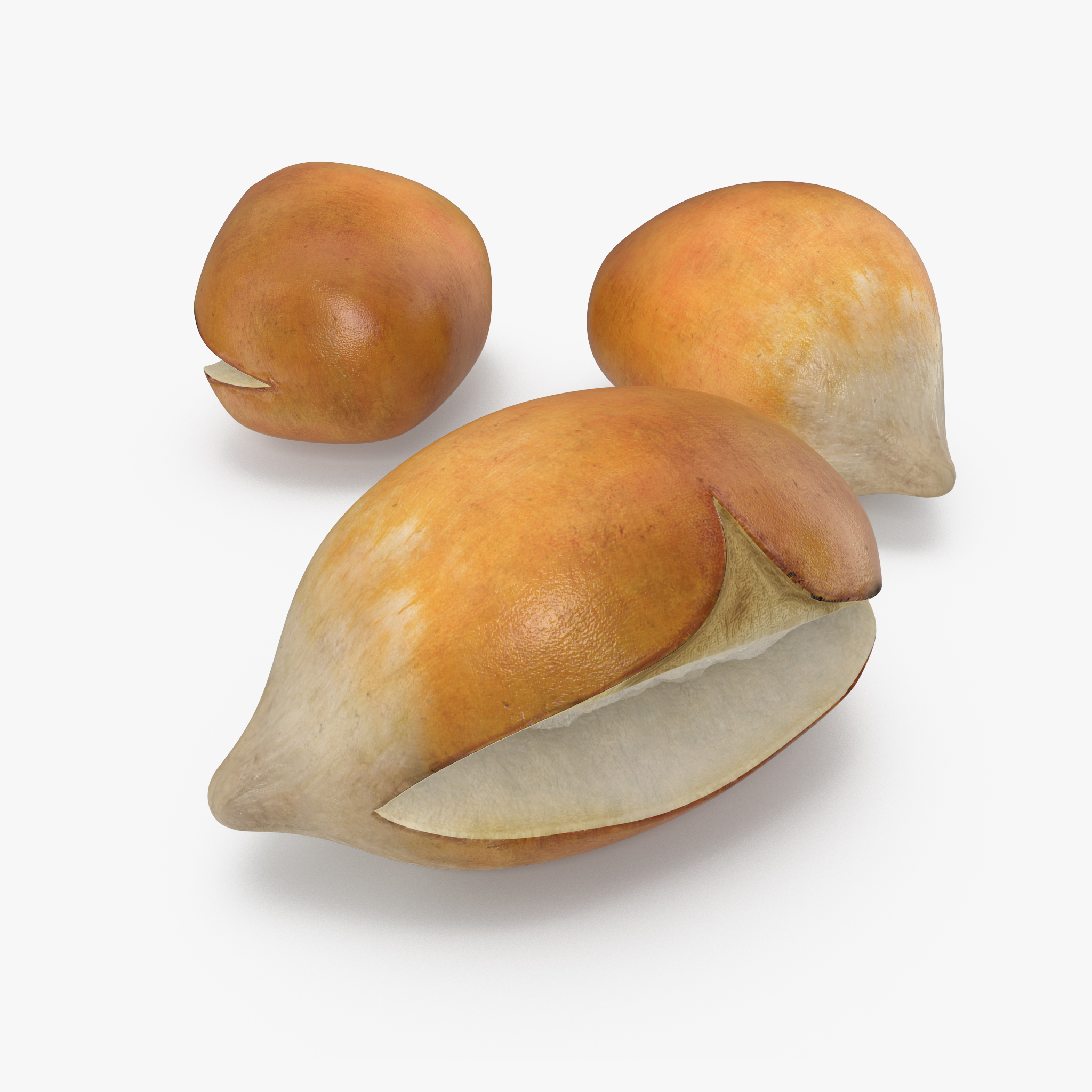 Popcorn Kernel, view 3