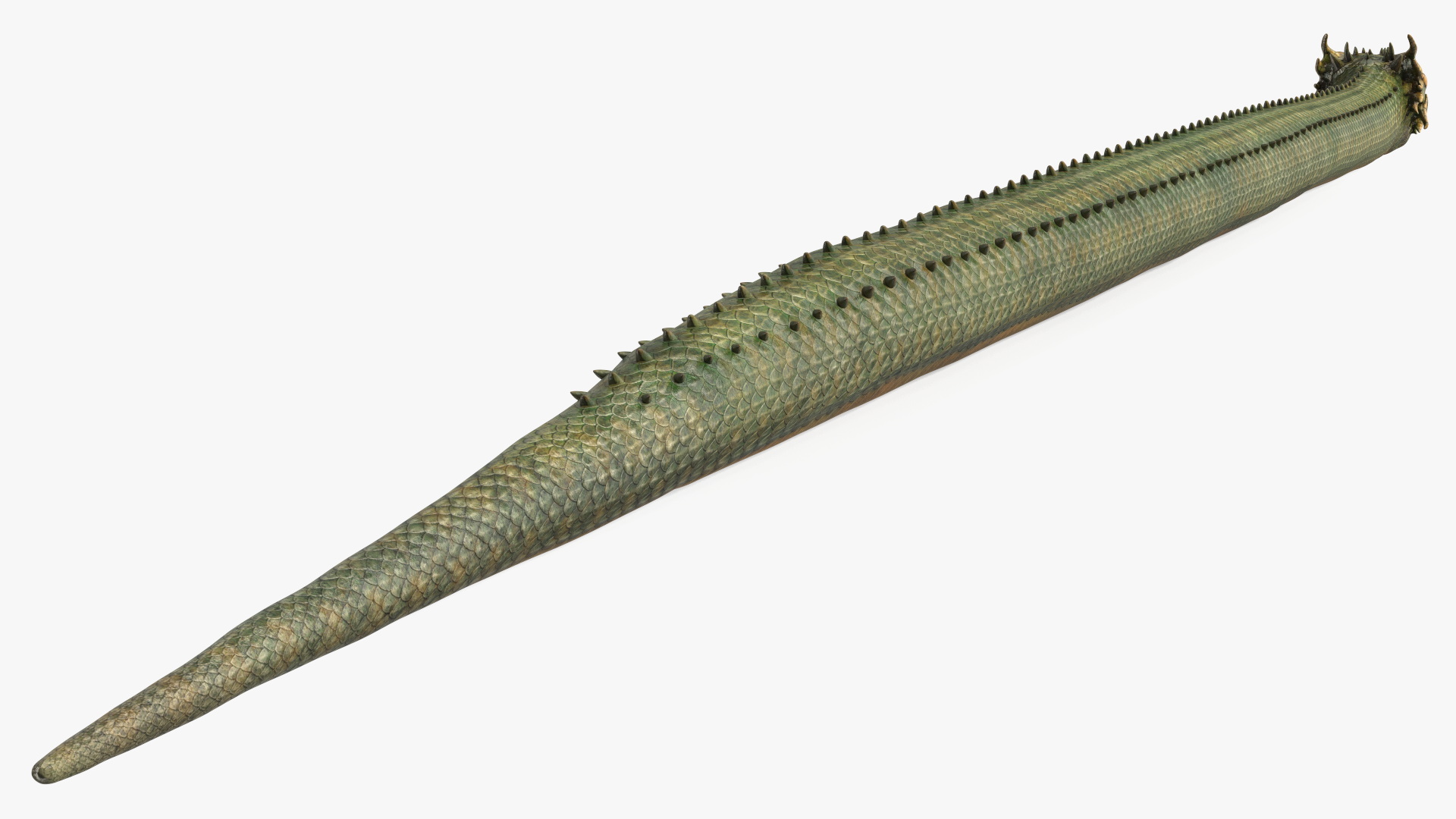 3D Mythical Serpentine Dragon