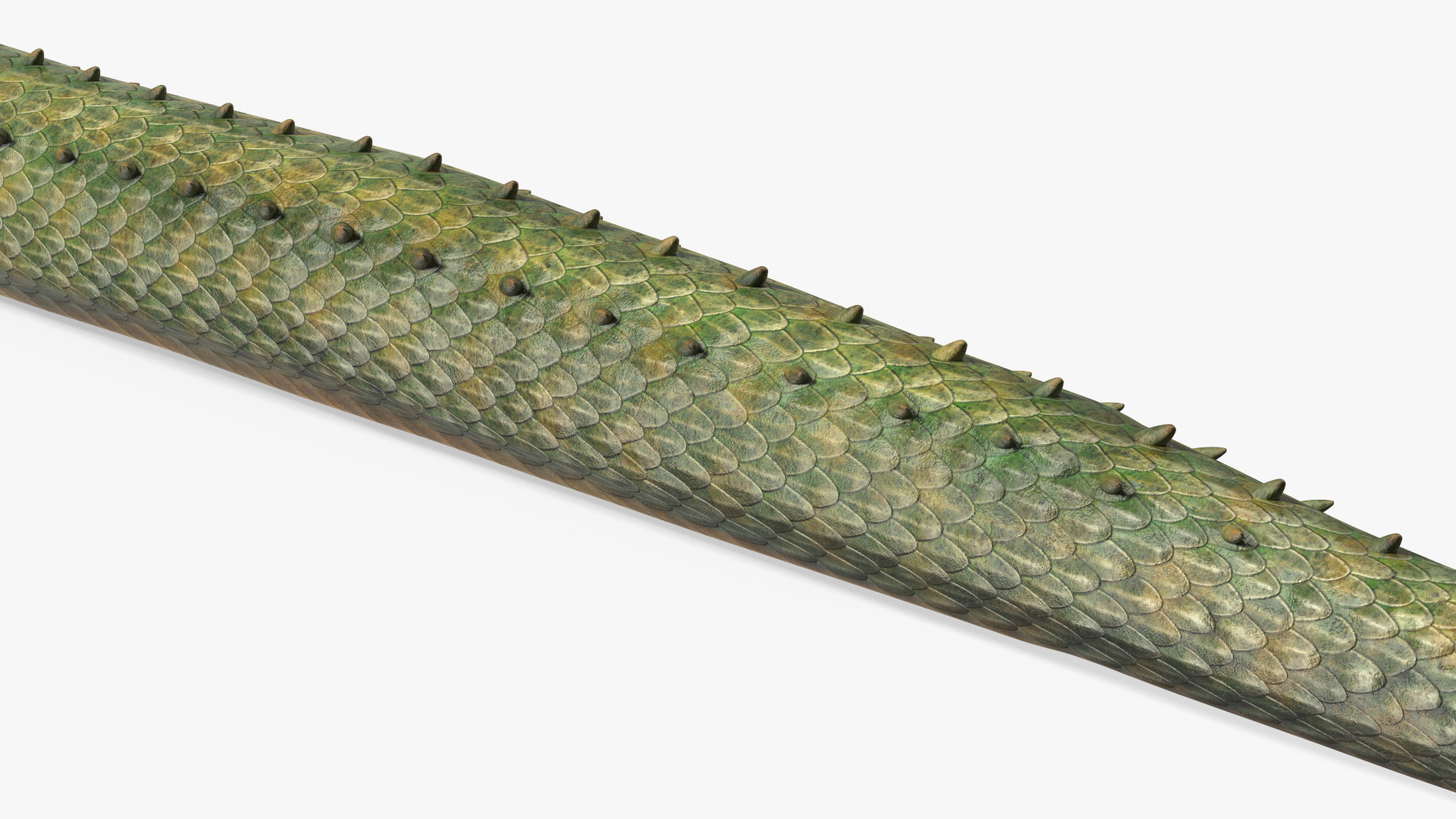 3D Mythical Serpentine Dragon