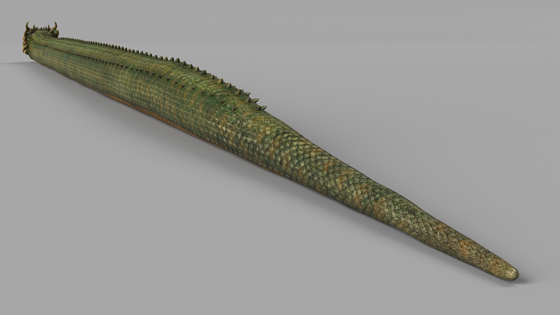 3D Mythical Serpentine Dragon