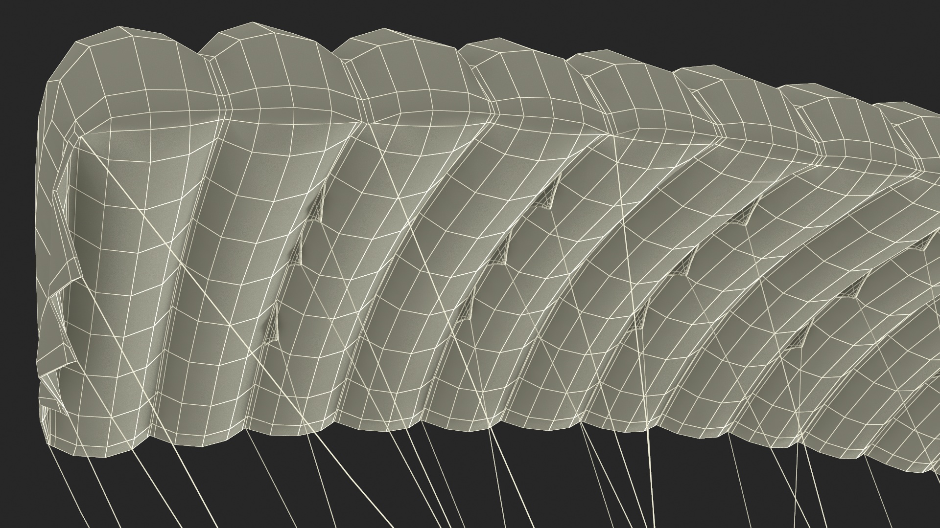 Ram Air Parachute 3D