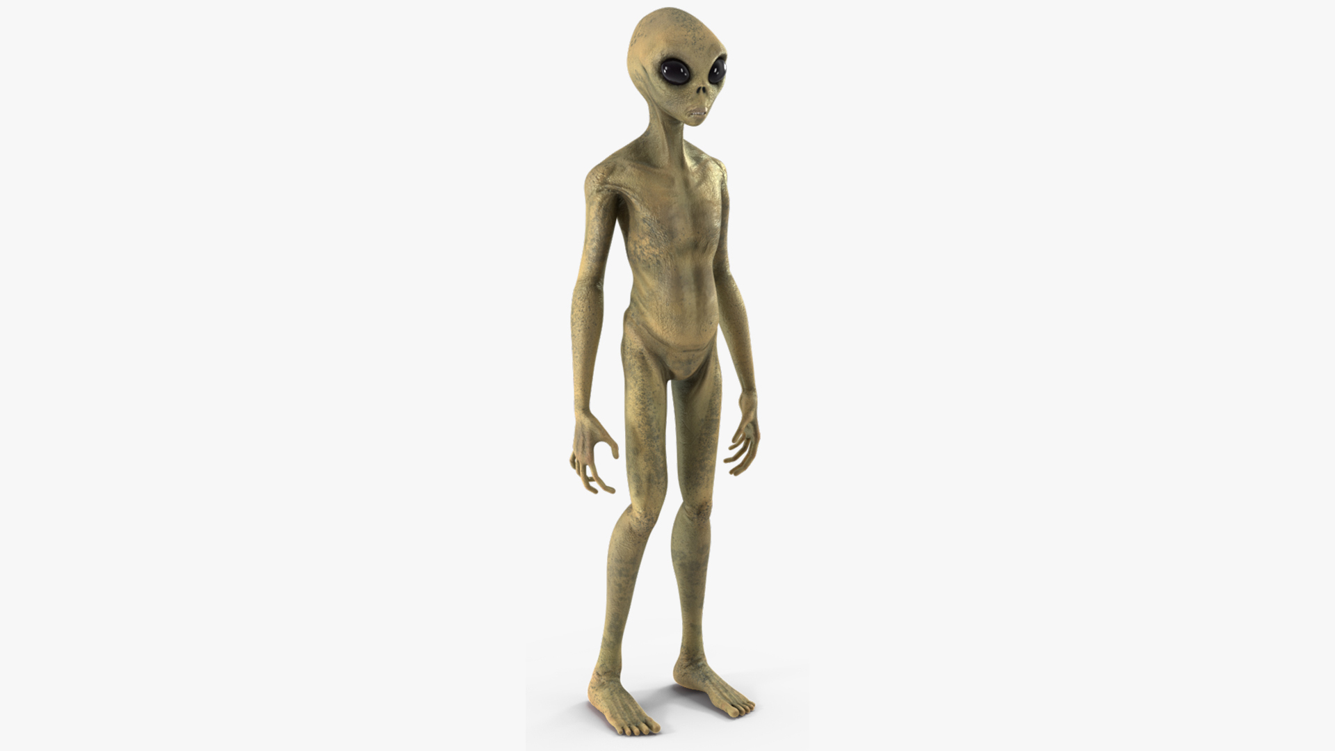 3D model Humanoid Alien Creature Rigged