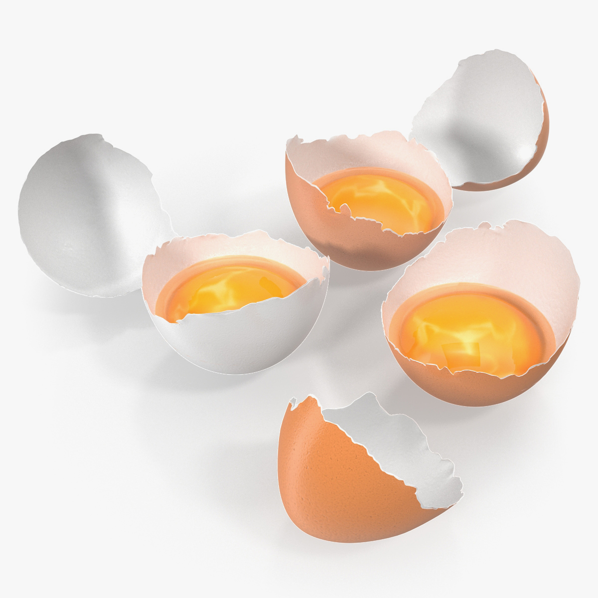 Broken Chicken Eggs 3D Model