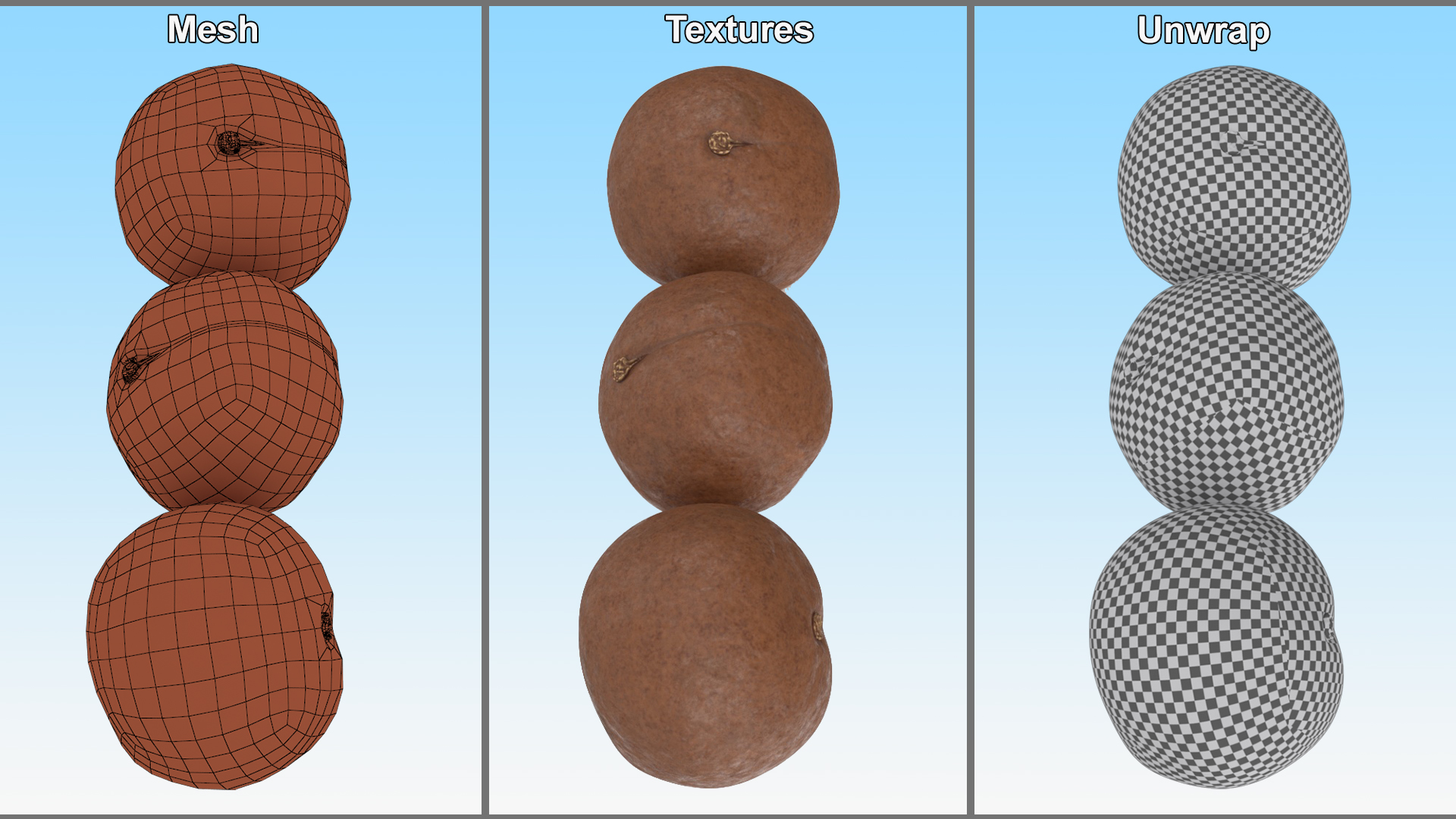 3D Macadamia Nuts in Shell model