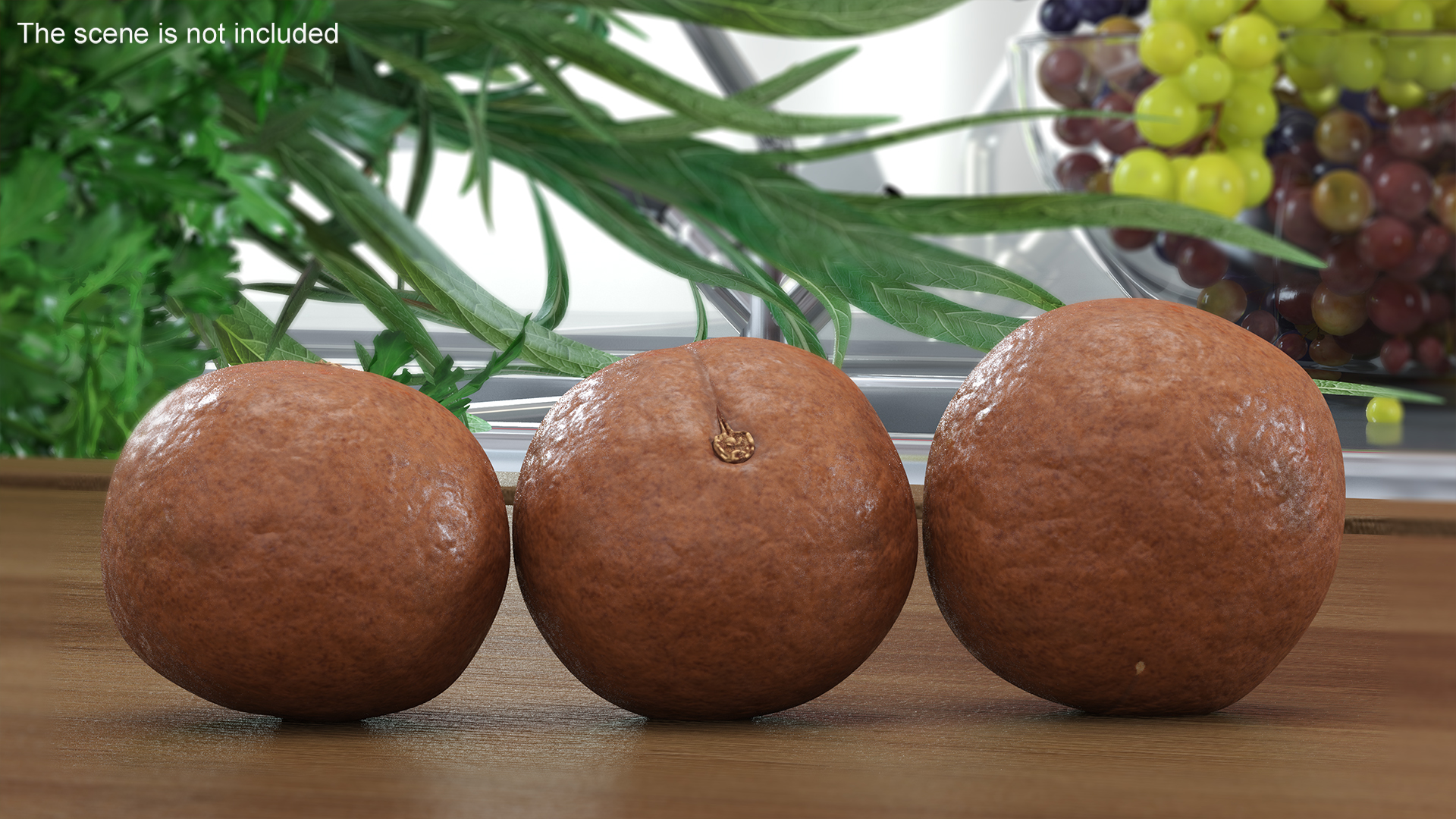 3D Macadamia Nuts in Shell model