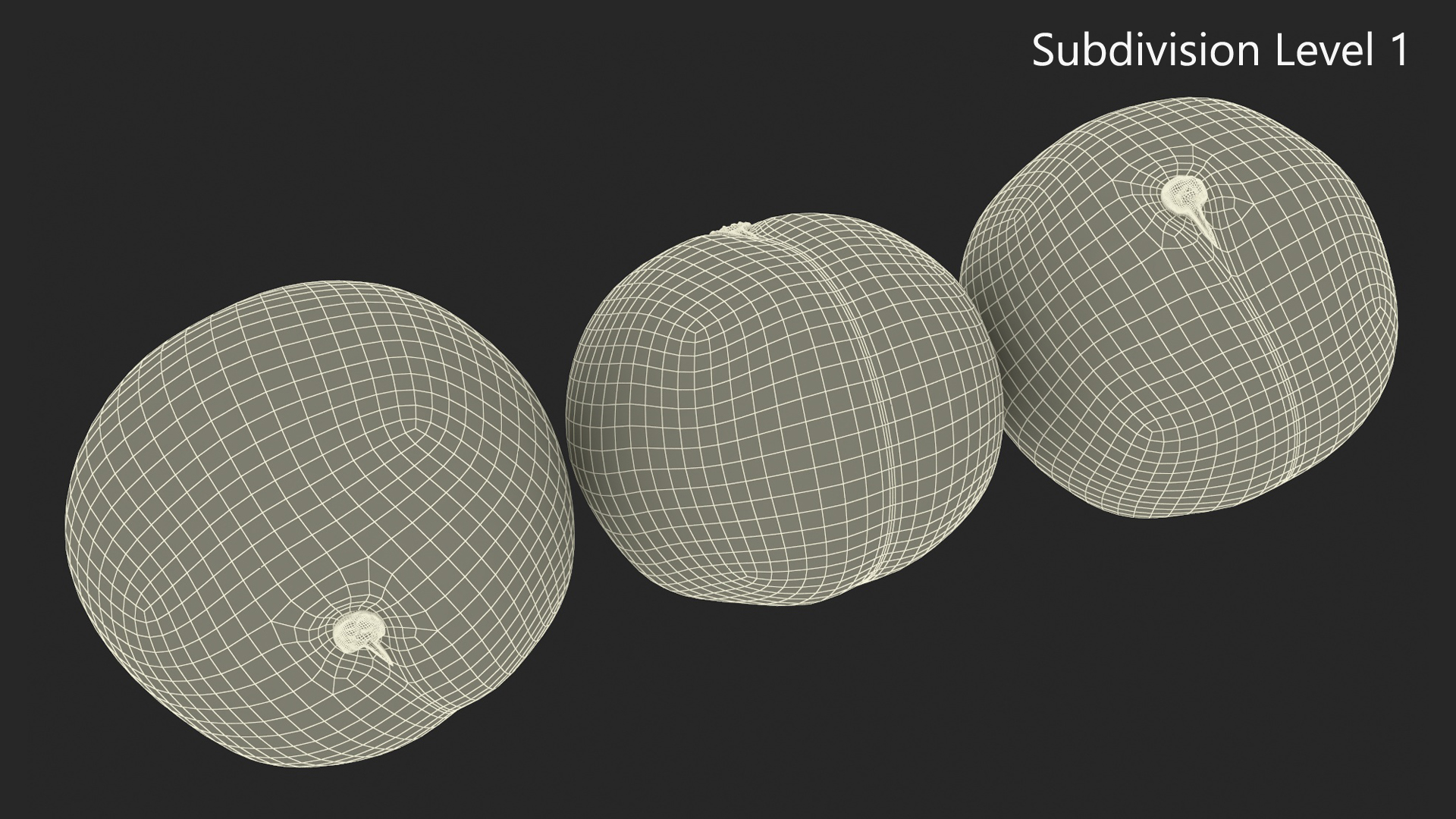 3D Macadamia Nuts in Shell model