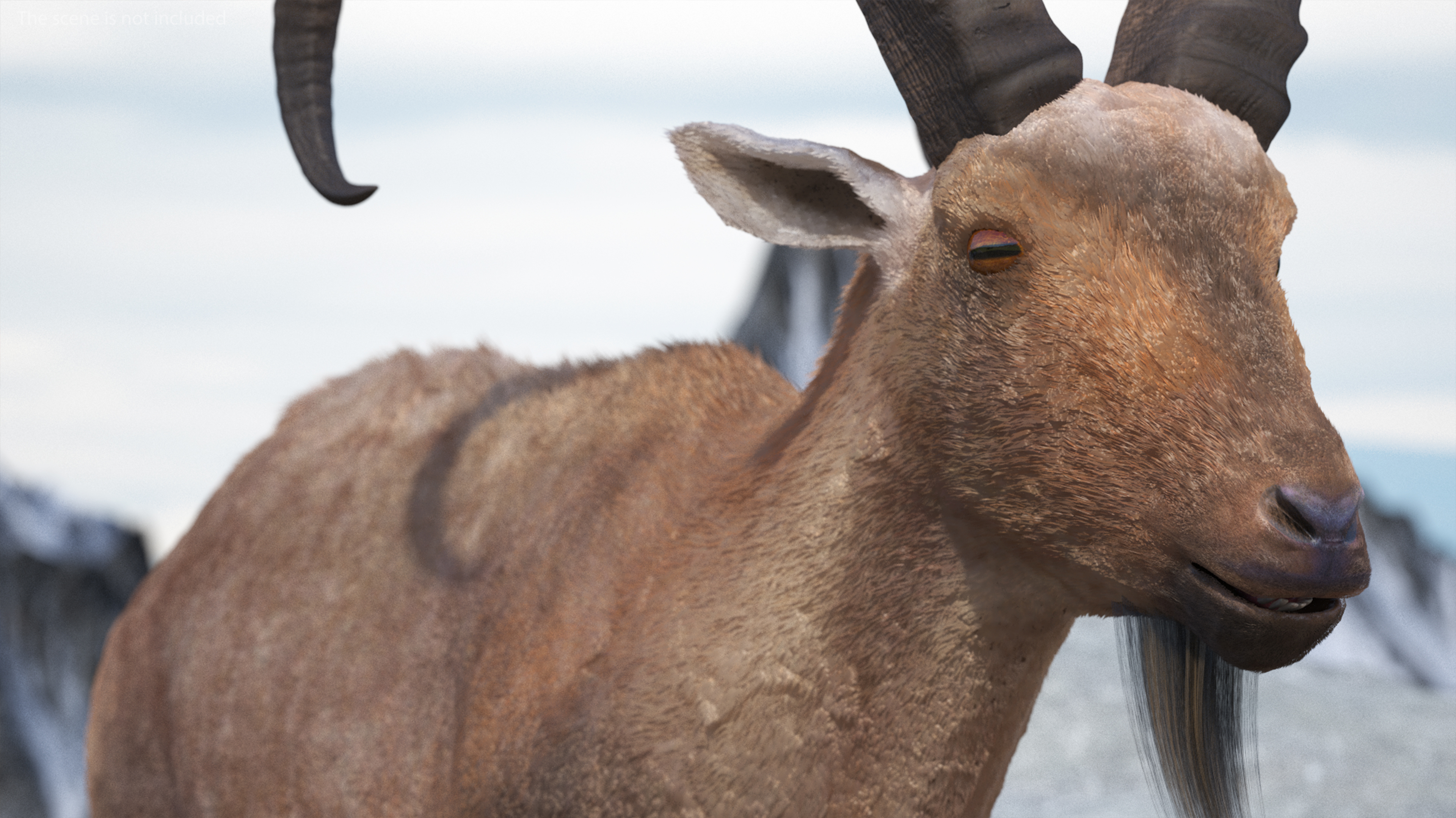 Alpine Ibex Fur Rigged 3D