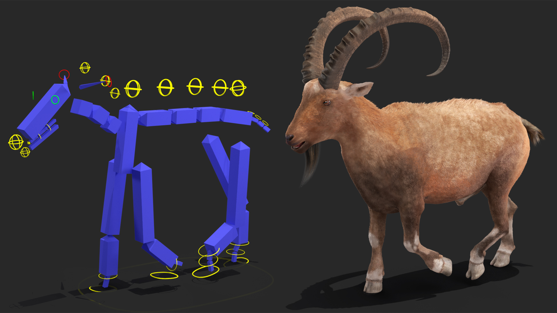 Alpine Ibex Fur Rigged 3D
