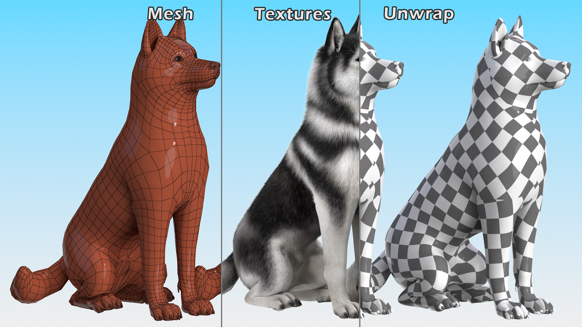 Sitting Husky Dog Black and White Fur 3D