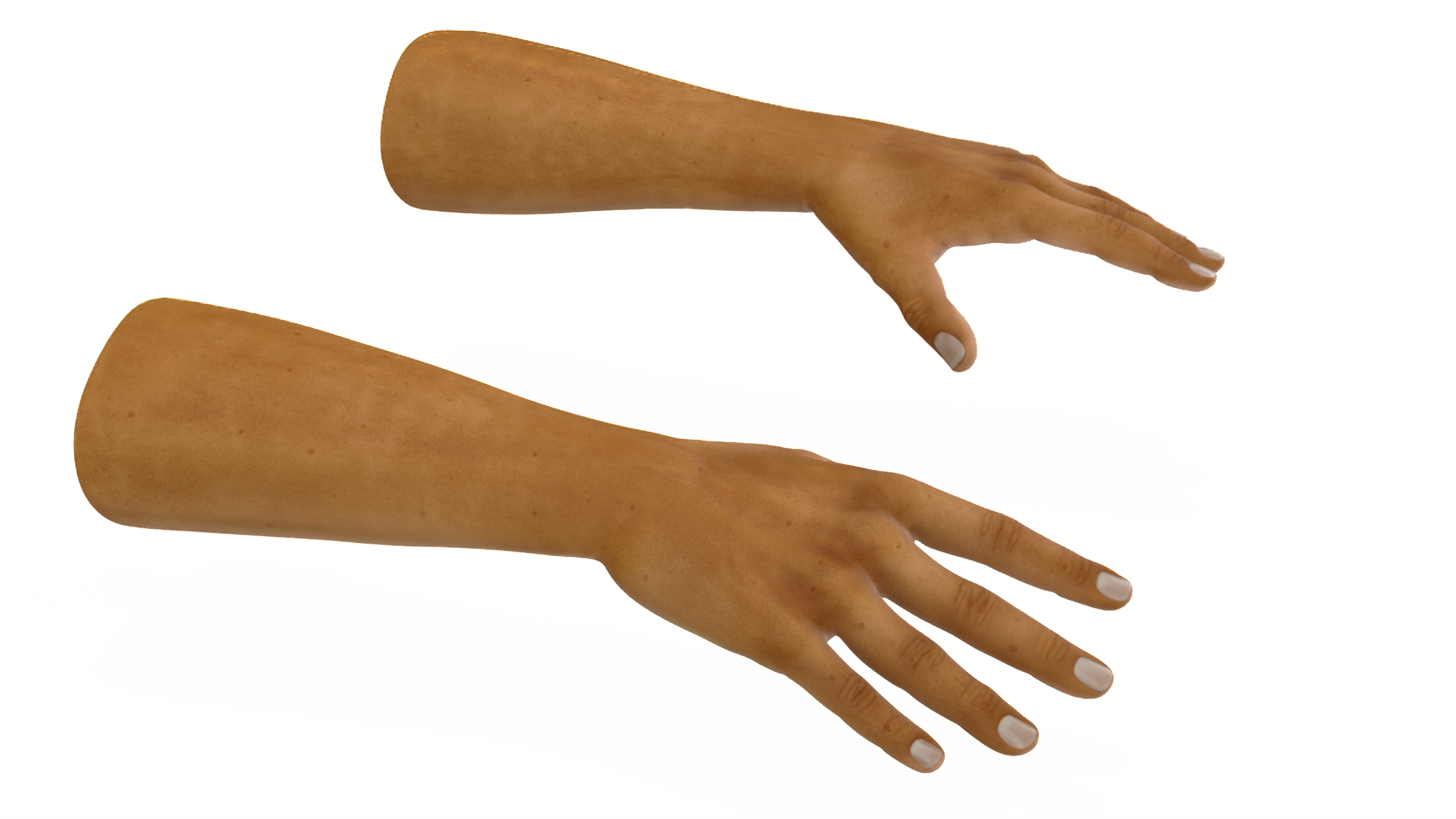 3D European Man Hands Base Pose model