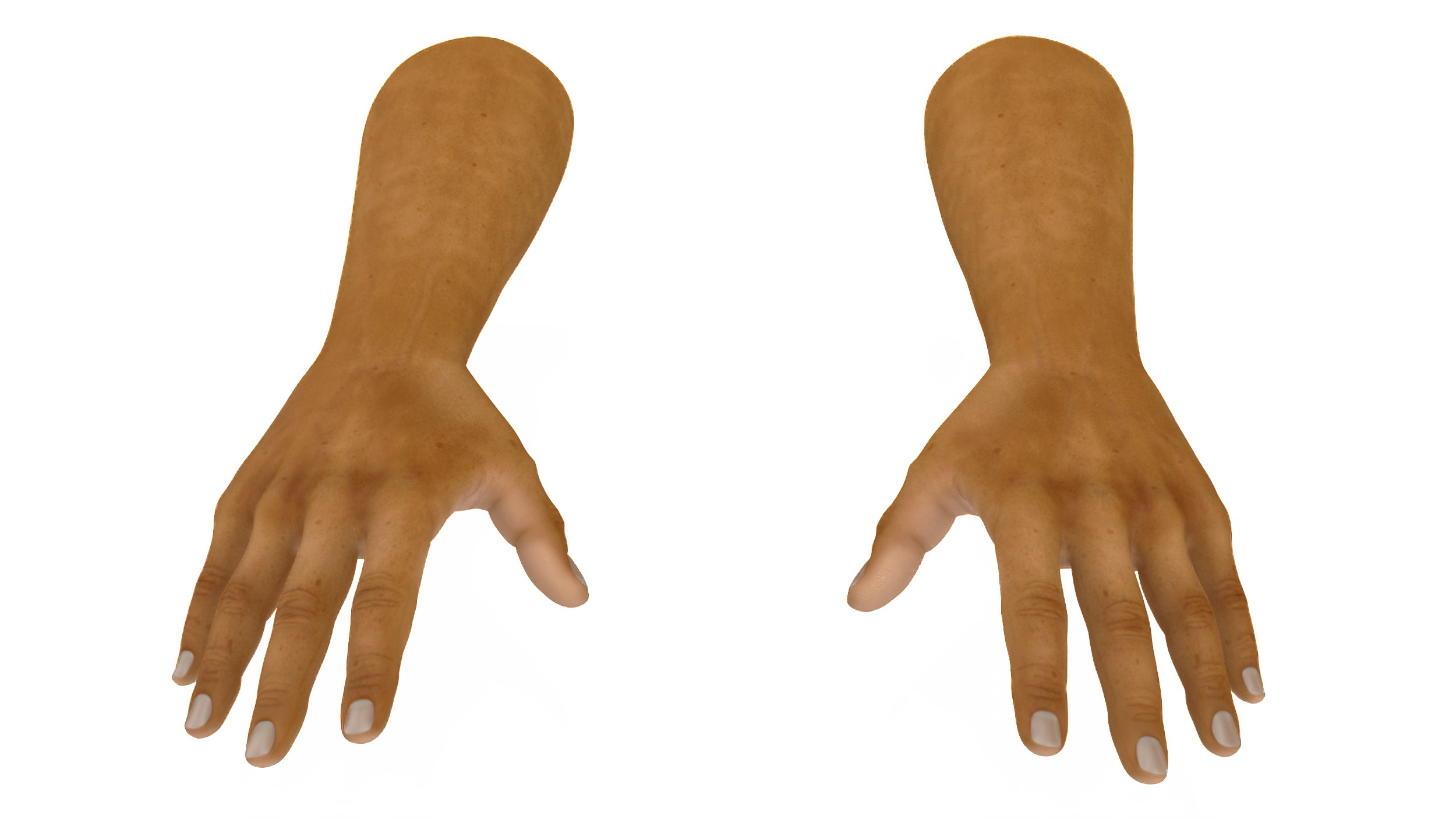 3D European Man Hands Base Pose model