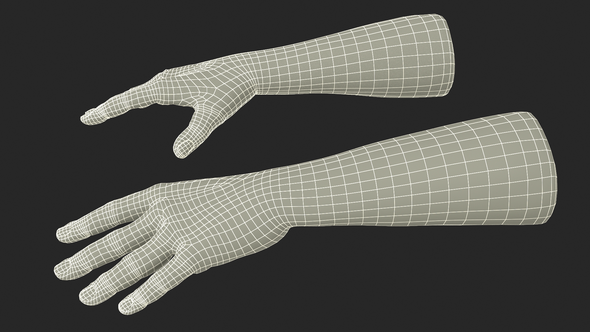 3D European Man Hands Base Pose model