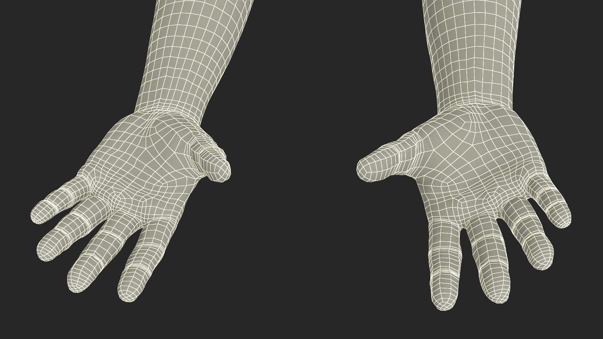 3D European Man Hands Base Pose model