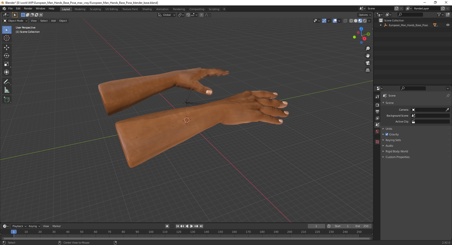 3D European Man Hands Base Pose model