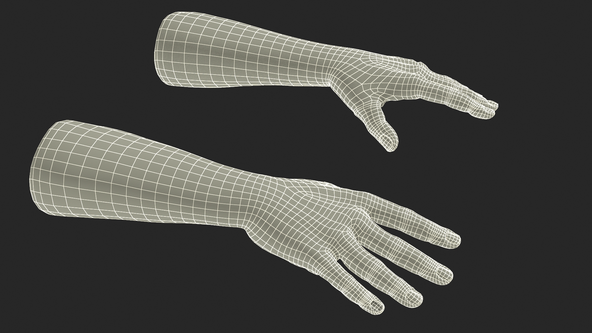 3D European Man Hands Base Pose model