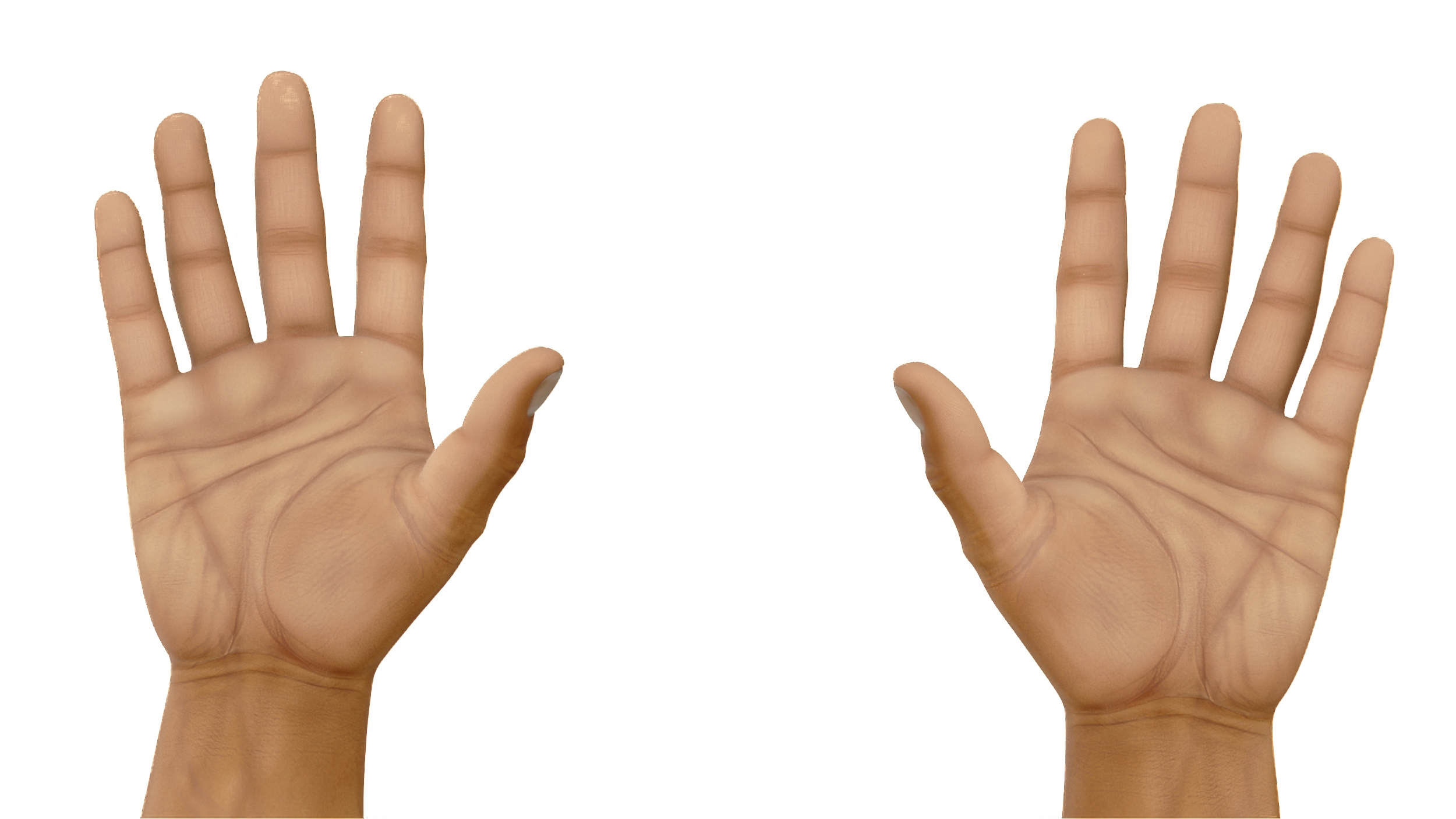 3D European Man Hands Base Pose model